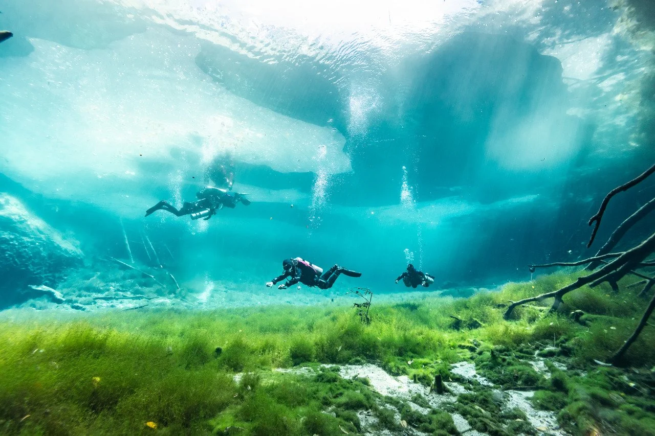 scuba divers in the open section of car wash cenote where it looks like an underground meadow