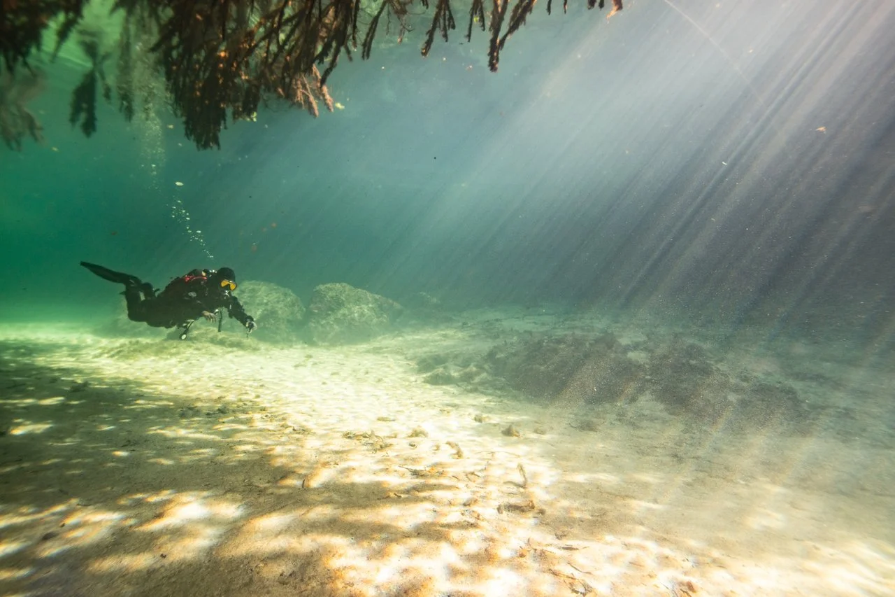 A scuba diver exploring underwater near the rocky riverbed with sunlight streaming through the water surface.