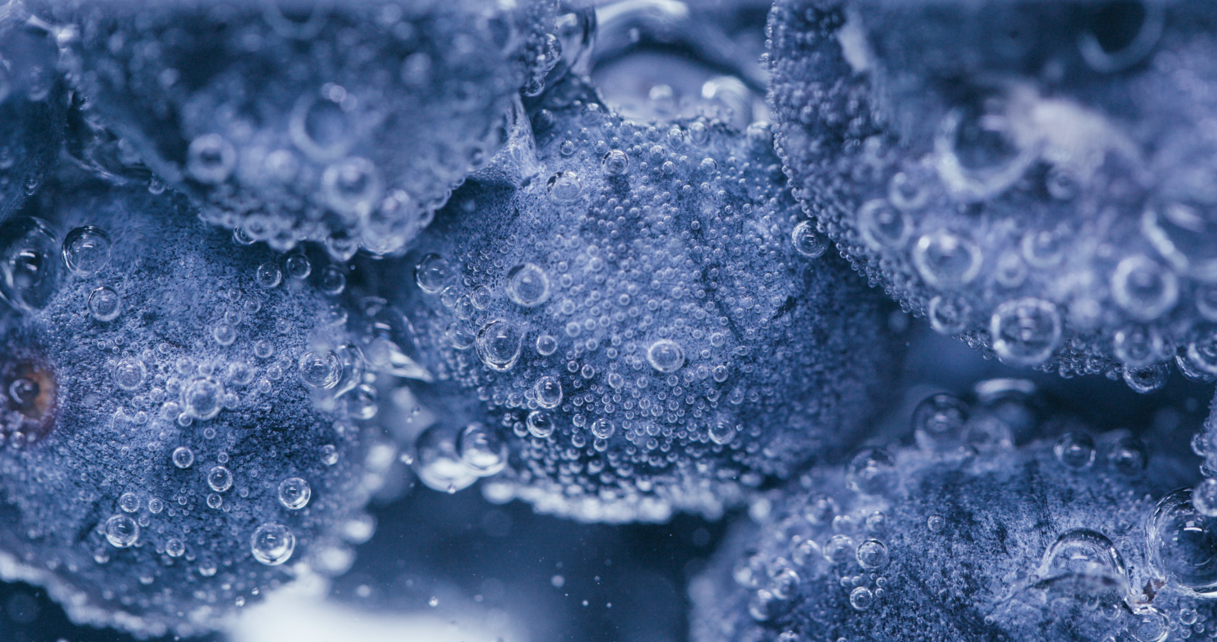Blueberry.png