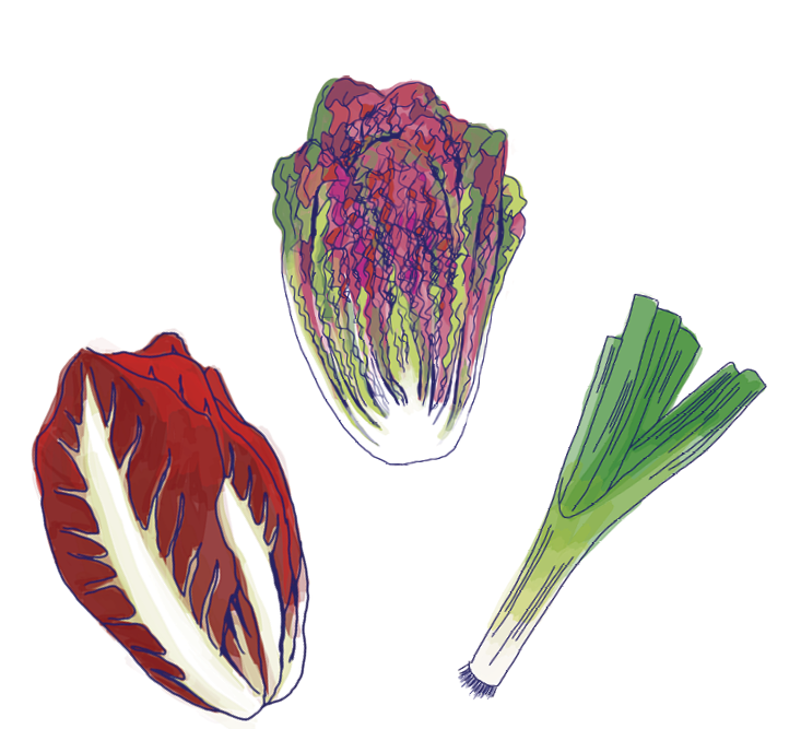 veggies.png