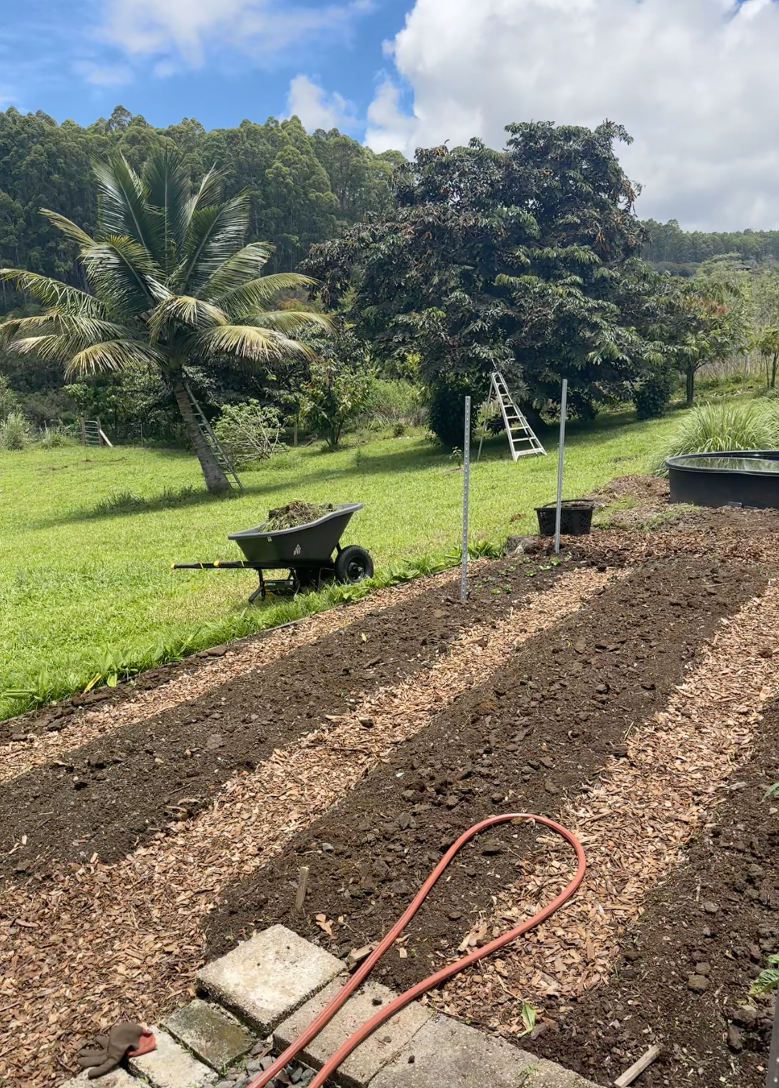 Screen Shot 2026-01-13 at 8.19.46 AM.png