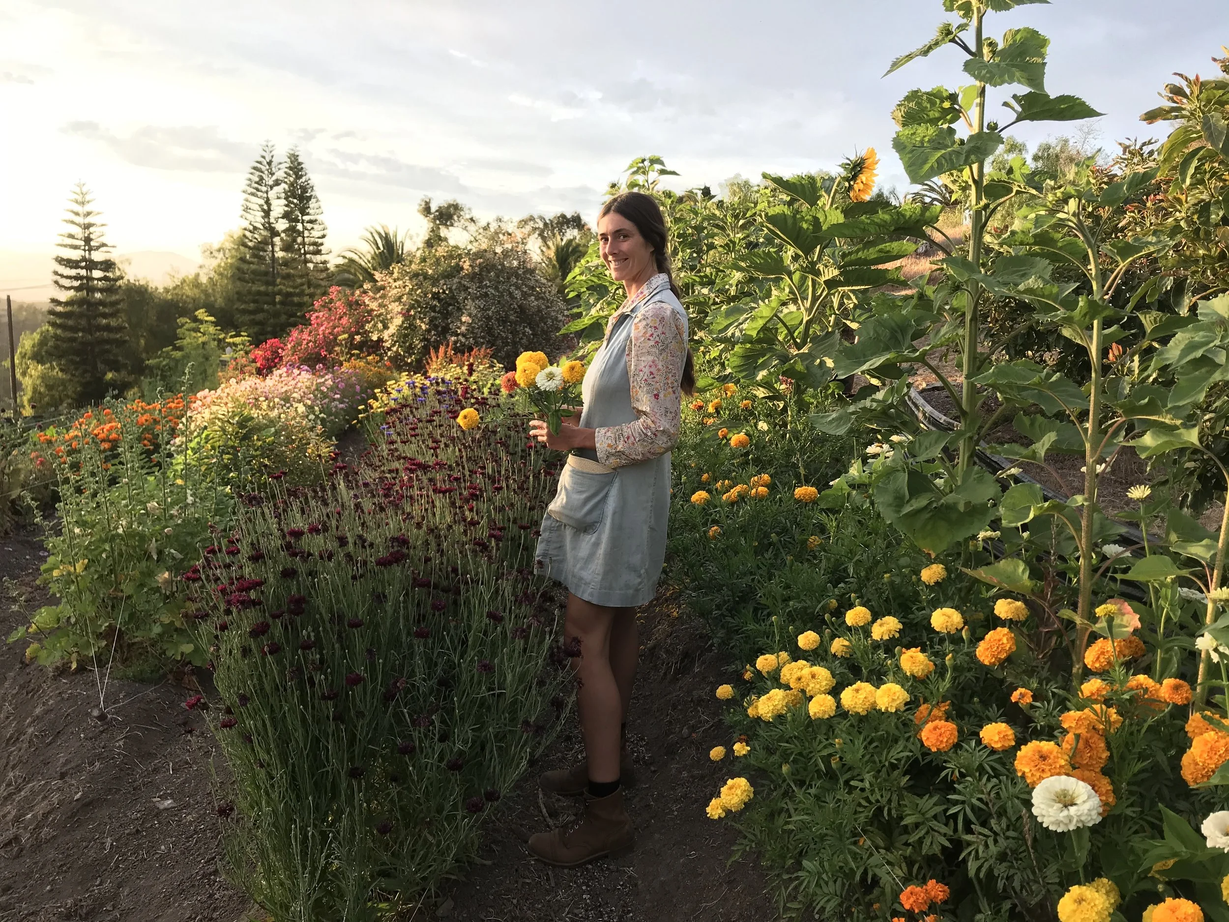 A woman standing among blooming flowers in a garden during sunset, holding a small bouquet of flowers and smiling.