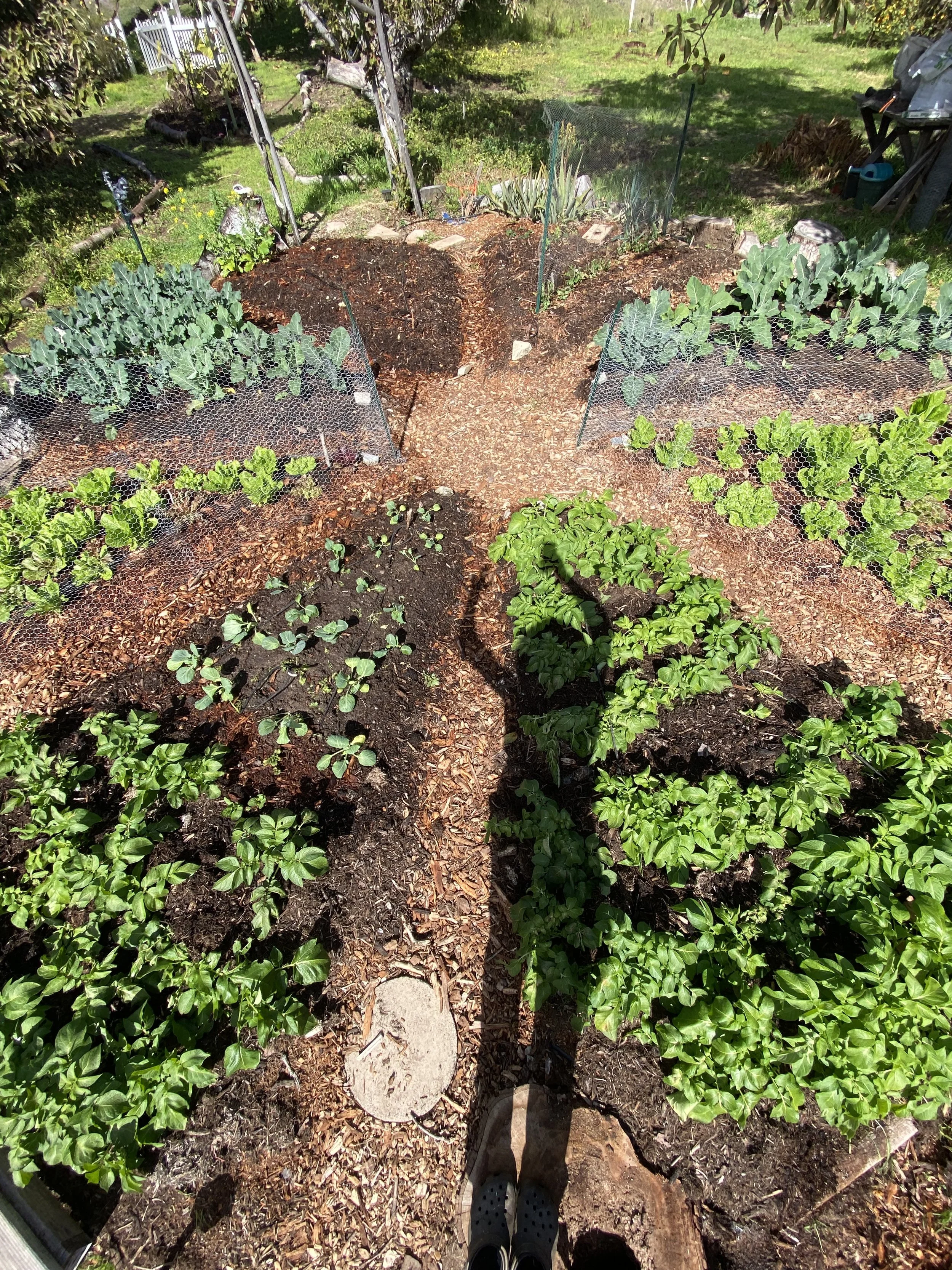 Build a Garden From Scratch 3/14/26