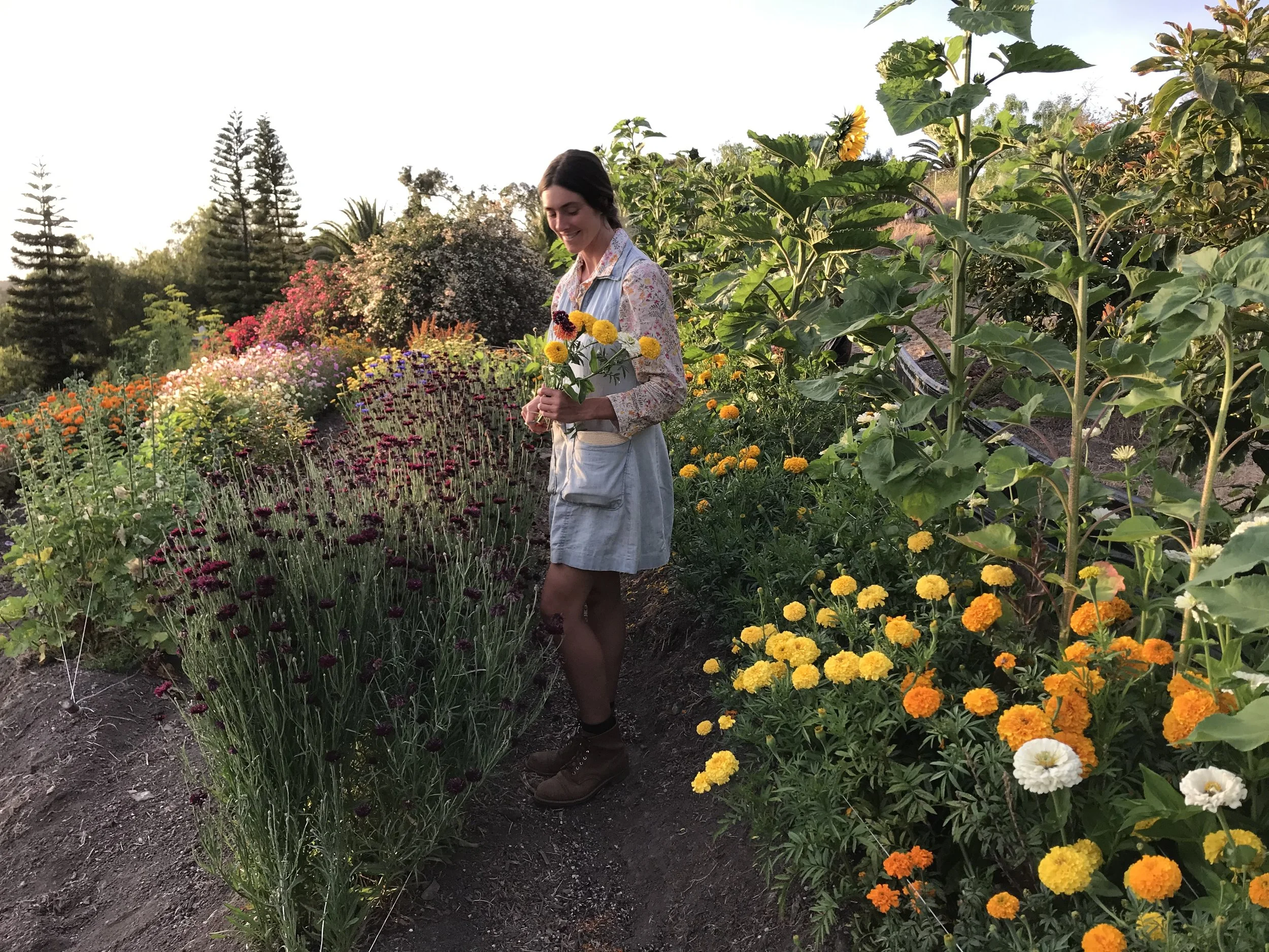 Garden Transformation Workshop 1/17/26