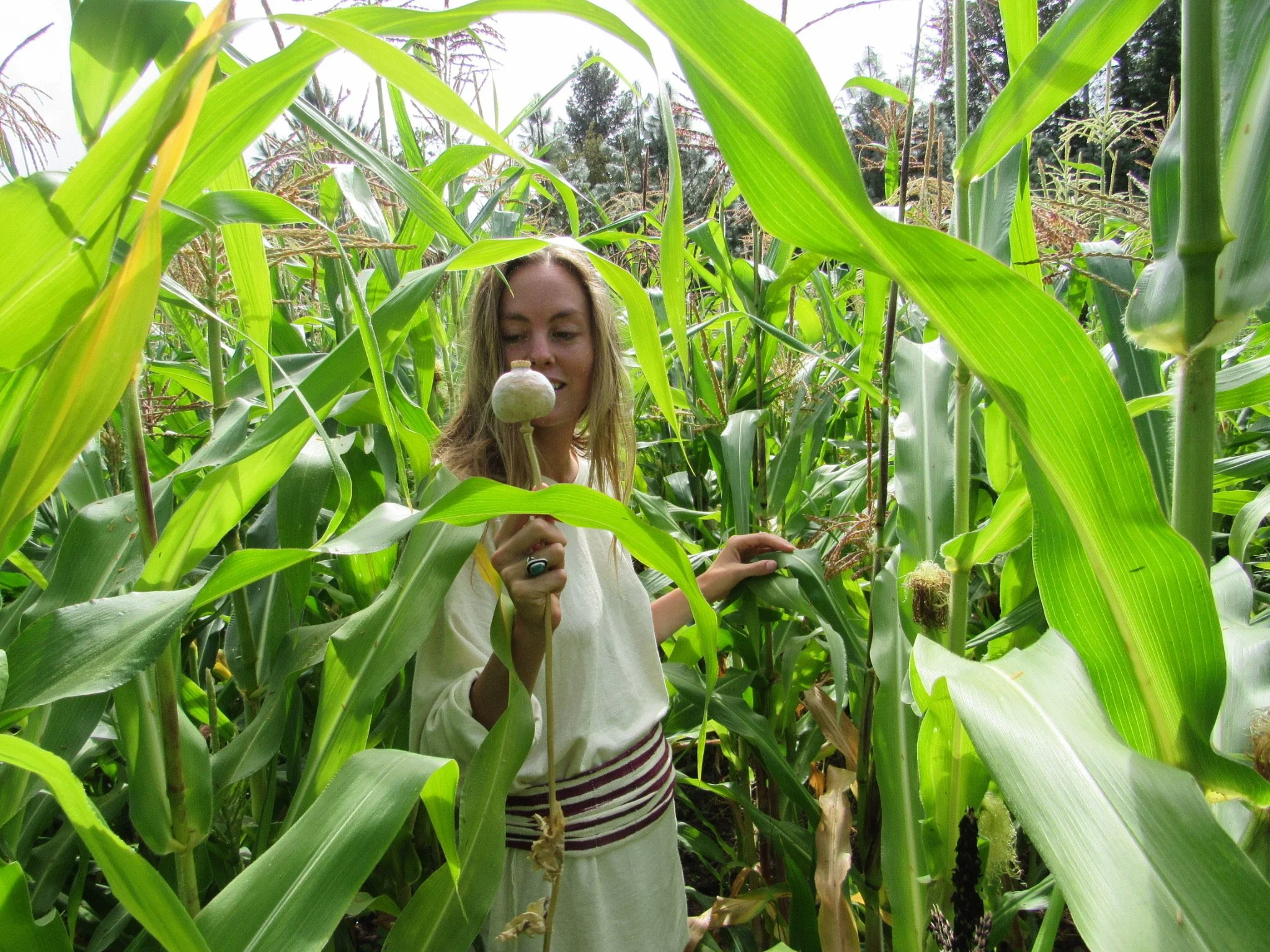 Designing & Planting a Permaculture Food Forest Workshop 3/7/26
