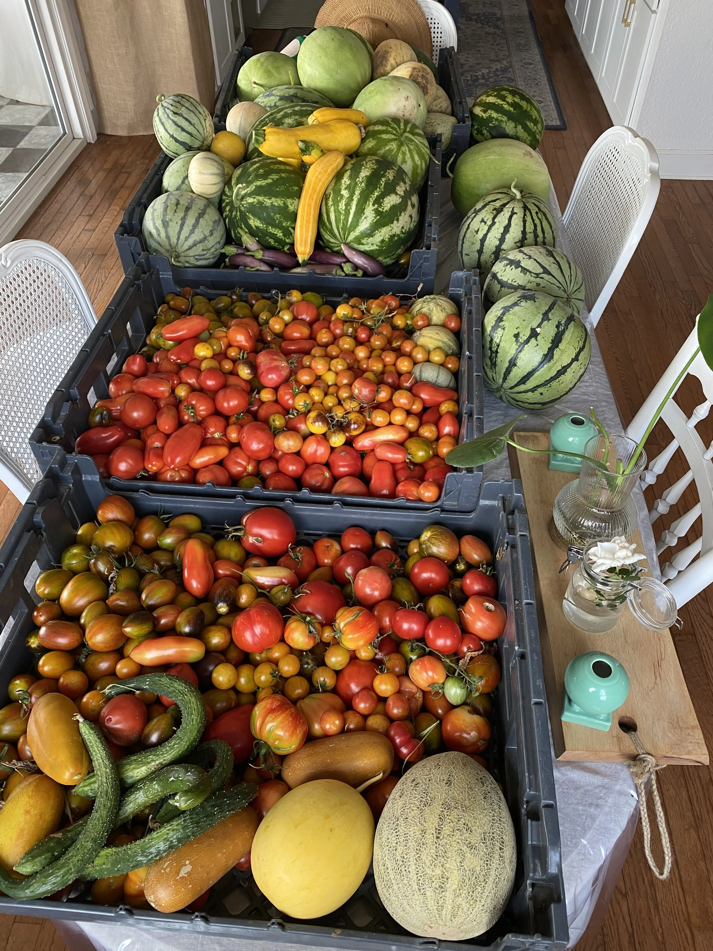 Tables stacked with various fresh vegetables and fruits including watermelons, tomatoes, cucumbers, and melons.