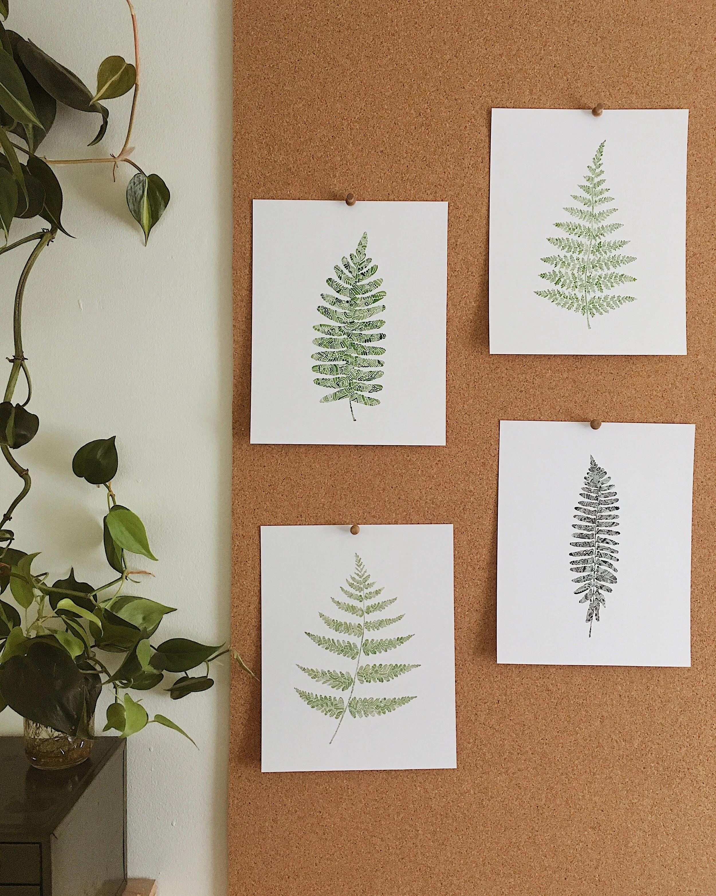 Fern Collection.jpg