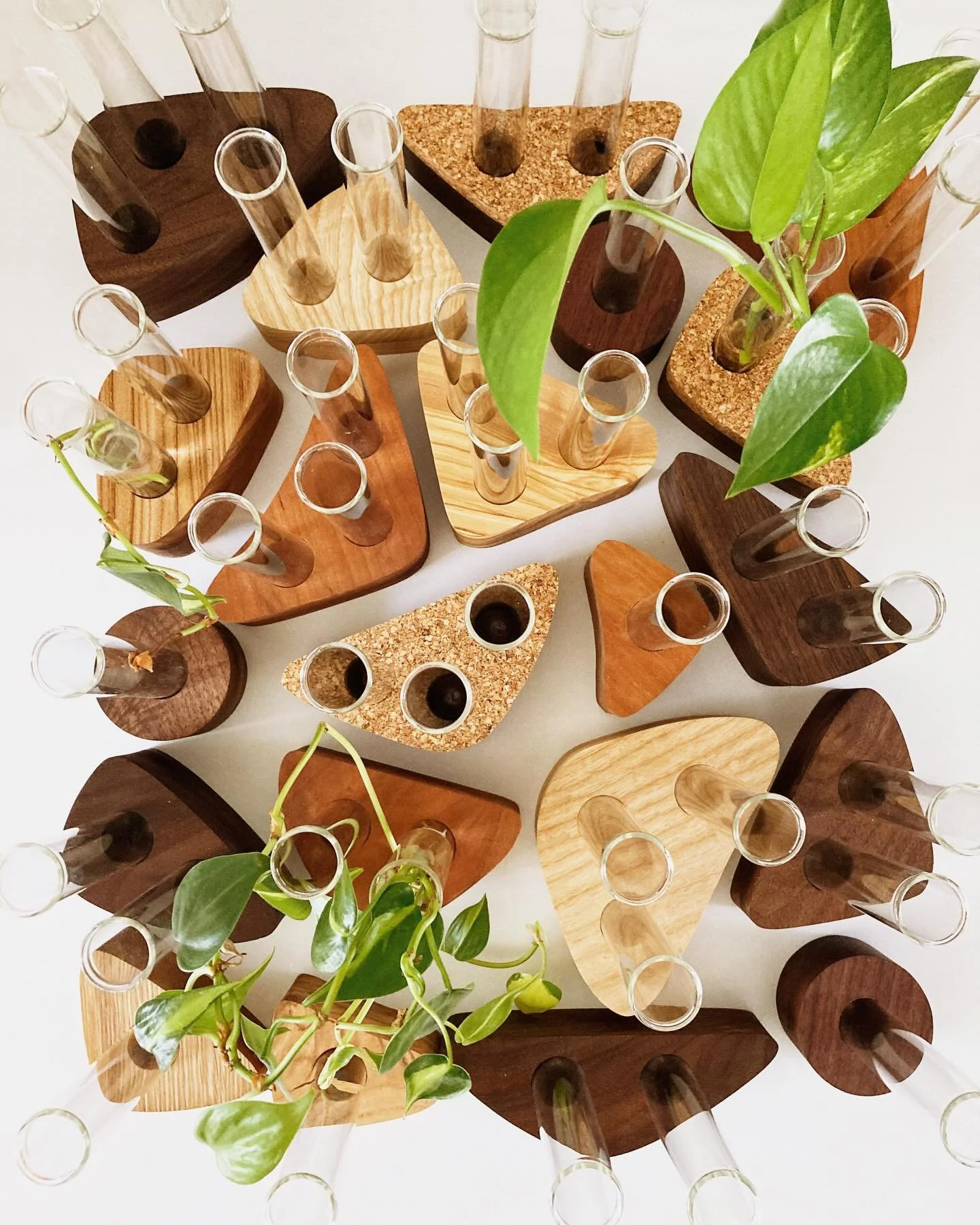 We&rsquo;ve got a big batch of propagation stations ready to take to @bloomflowerandhome in Providence this weekend! It&rsquo;s been almost a year since we&rsquo;ve started making these and we love that every single one is unique and such a fun way t