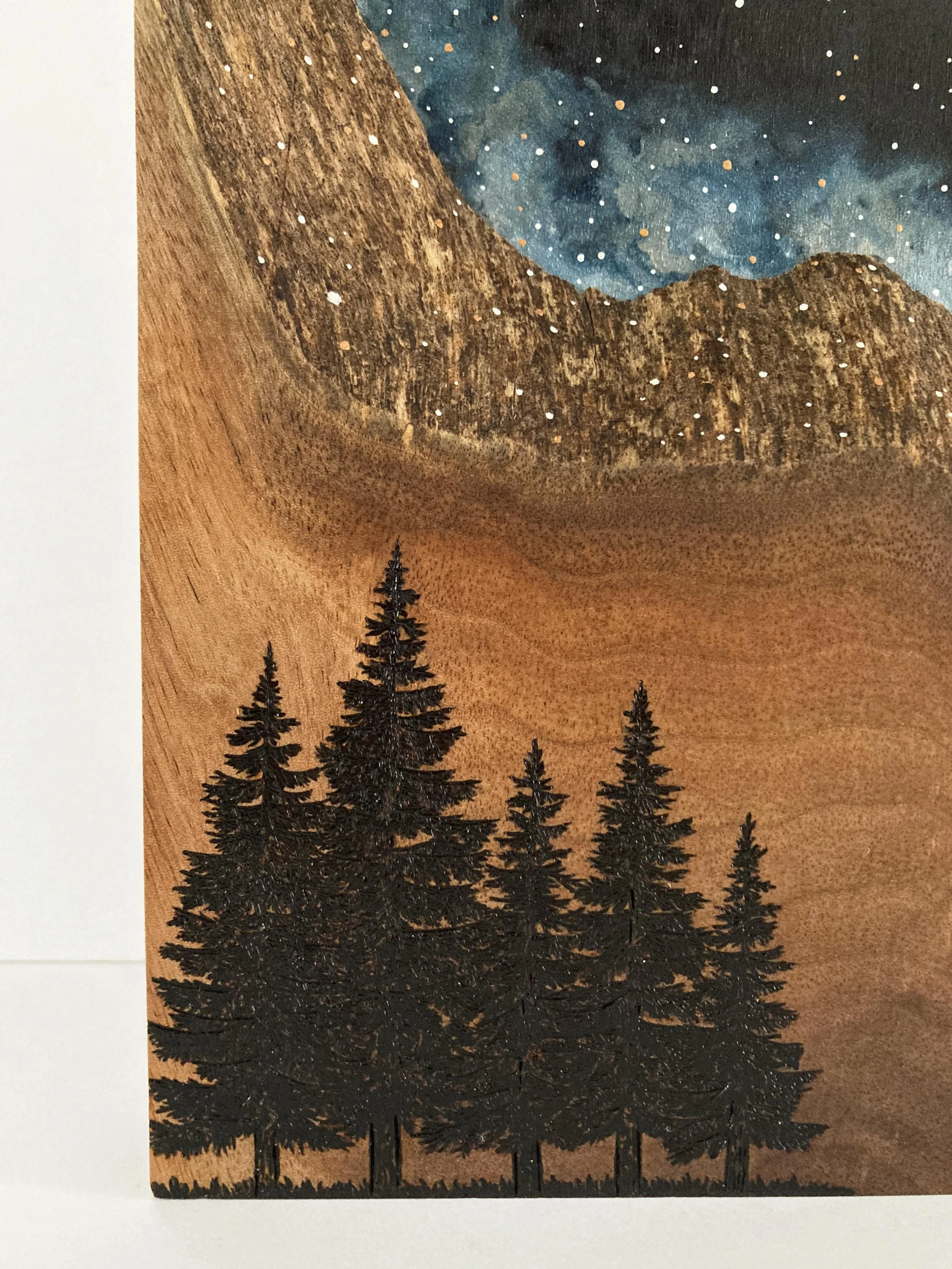 A close up of a wall art piece recently added to the shop. Hope you enjoy the details 😁

#forestculturedesign #watercoloronwood #galaxyedge #woodburning #pyrography