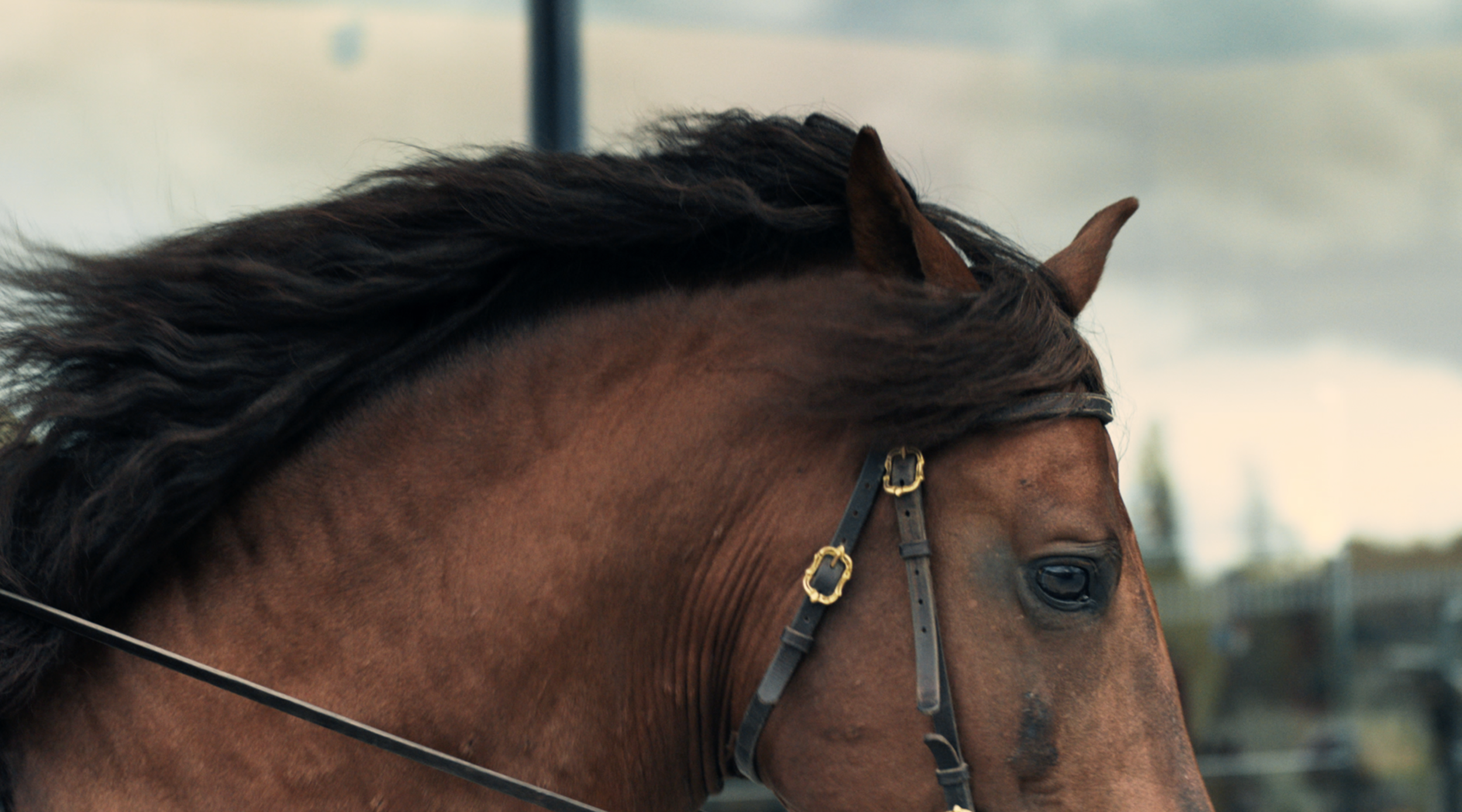 Screen Shot 2020-10-20 at 11.59.19 PM.png