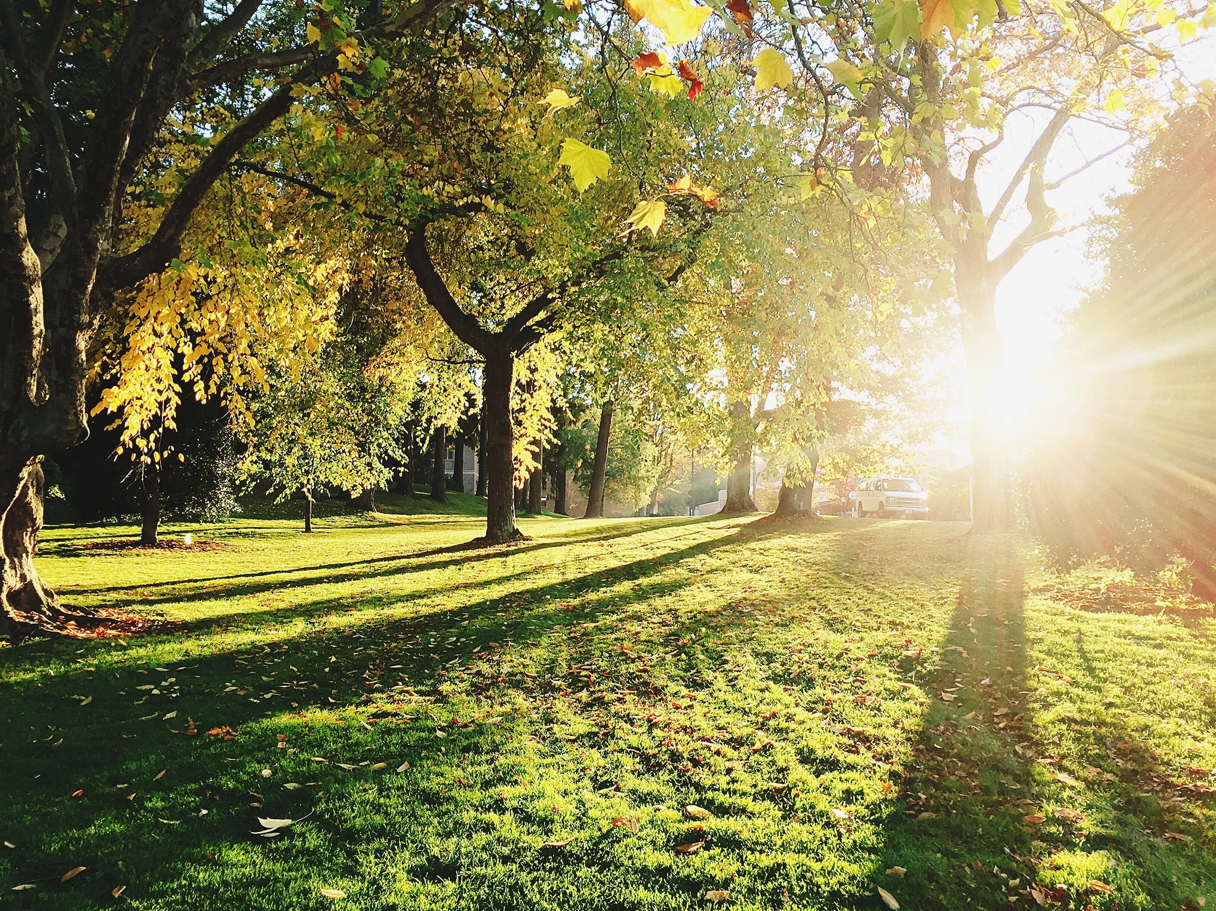 Enjoying the Columbus Outdoors: Parks, Trails & Activities