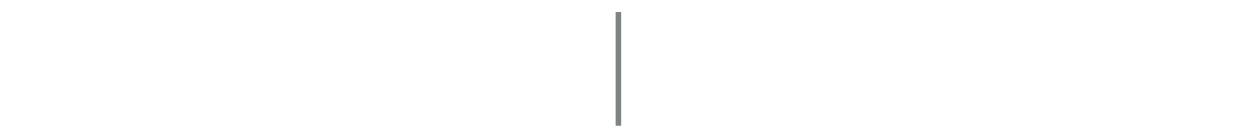 Line_Grey_Vertical Spacer.png