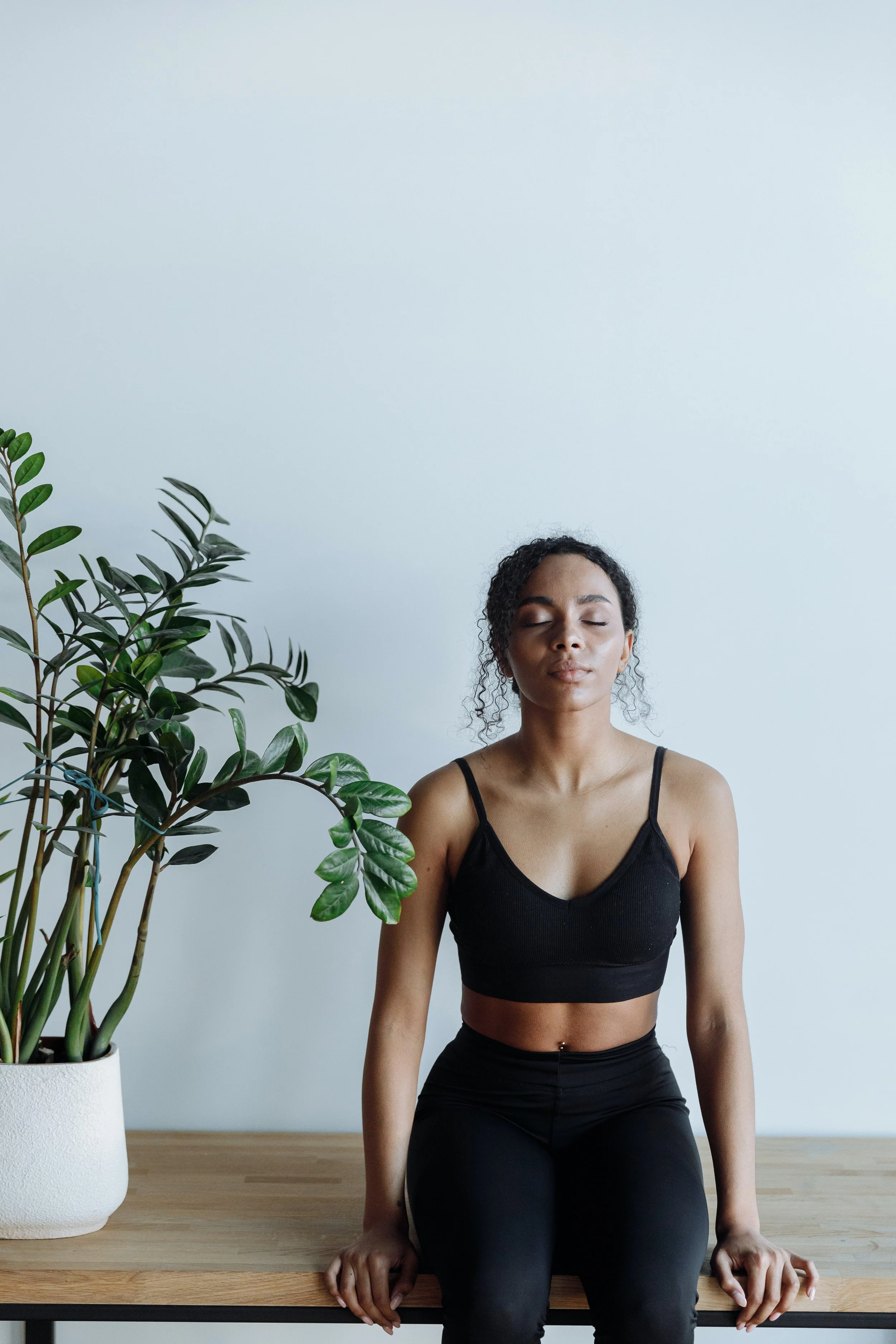 meditation & plant.jpeg