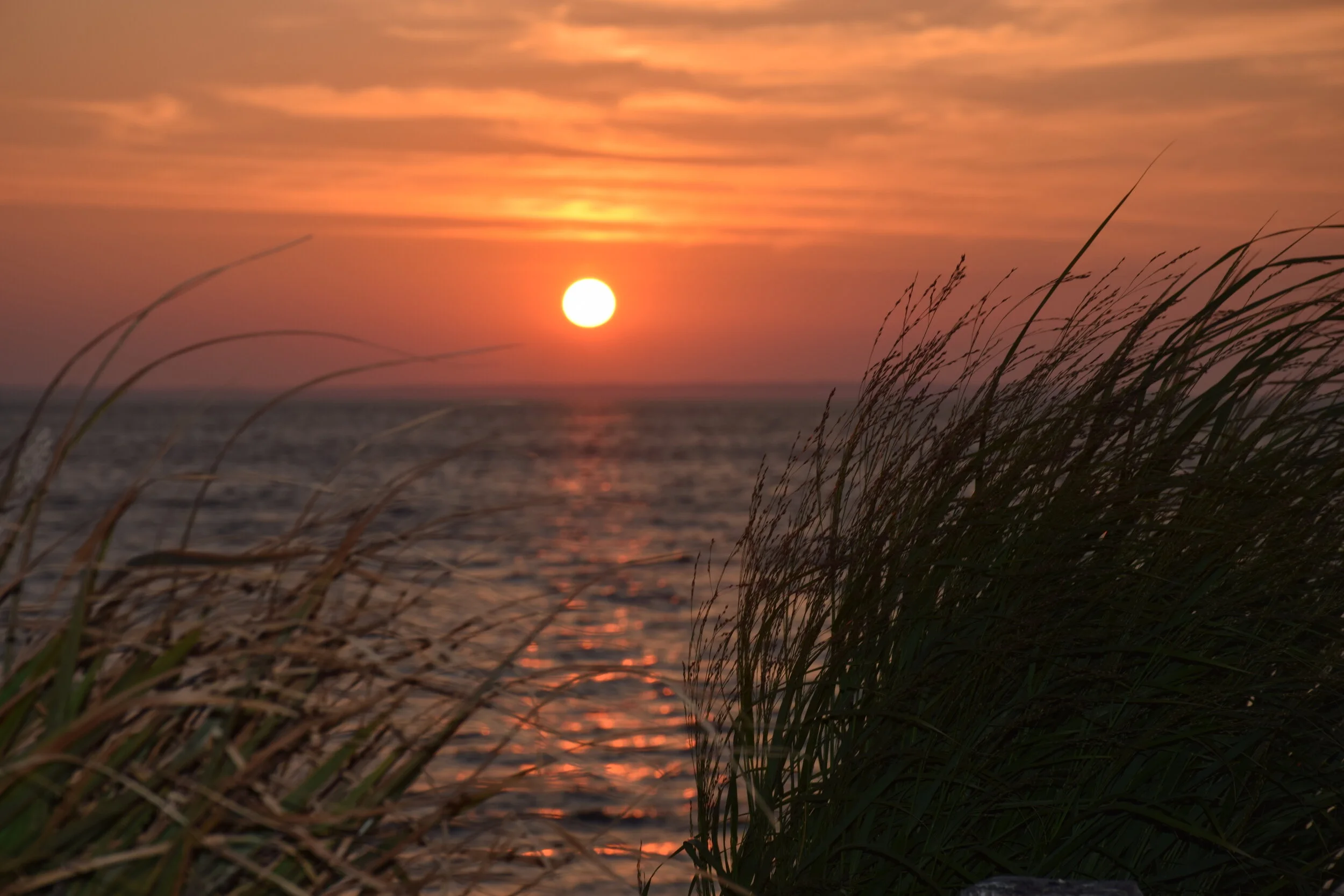 Mind and Wellbeing 
