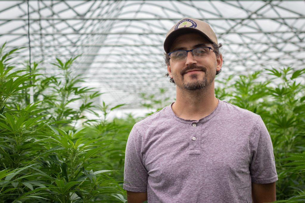 CNY farmers see future in growing hemp for CBD