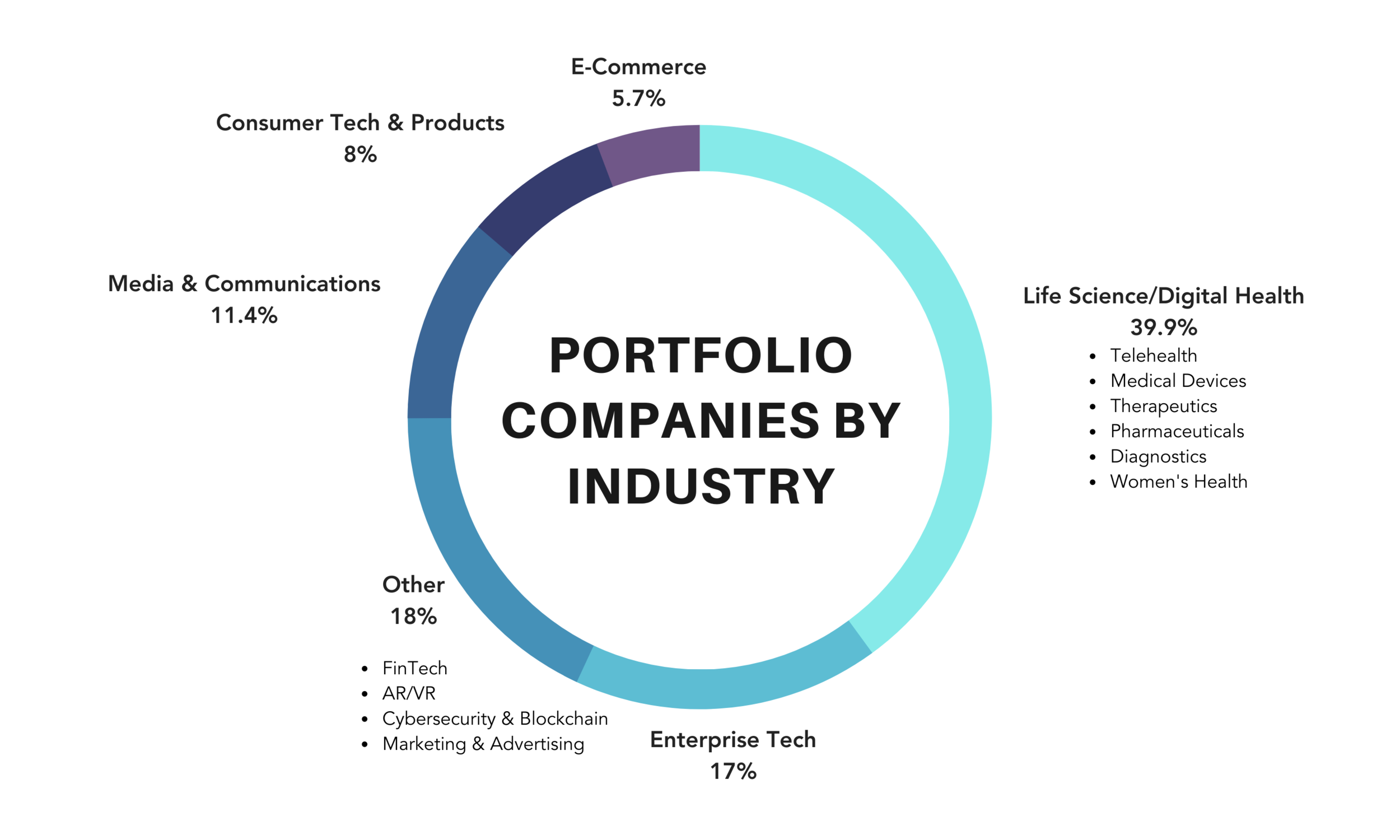 PORTFOLIO COMPANIES BY INDUSTRY.png