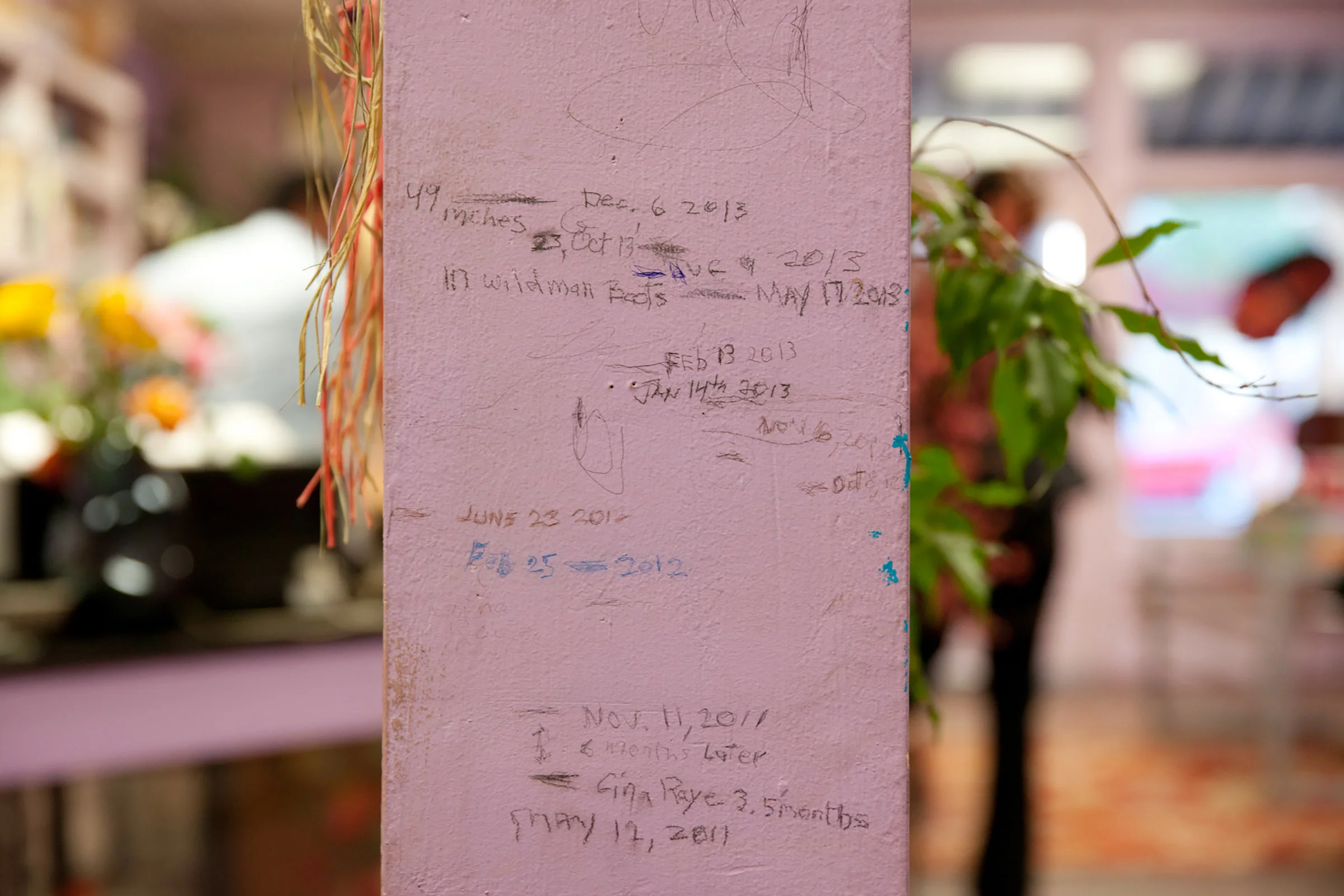Marcus_books_san_francisco_height_wall.jpg