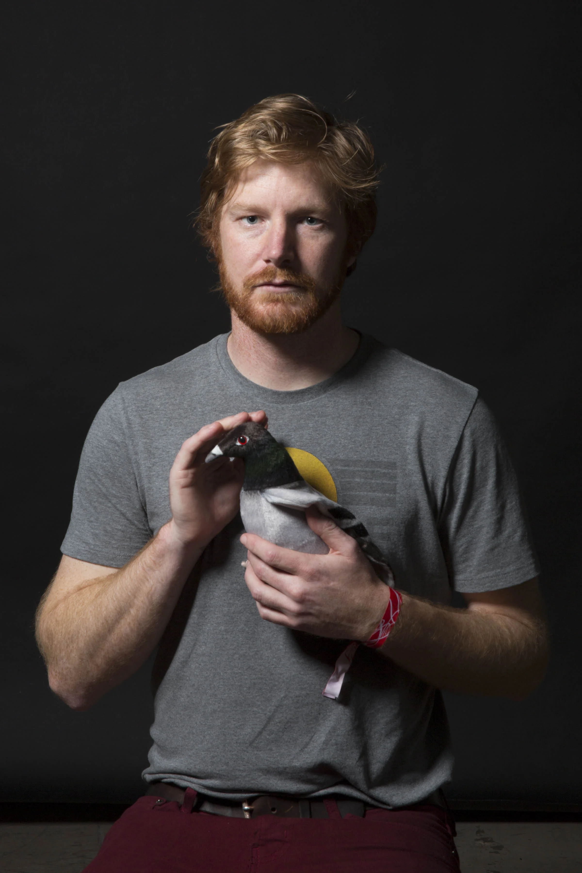 holding_pigeon_petting_pigeon.jpg
