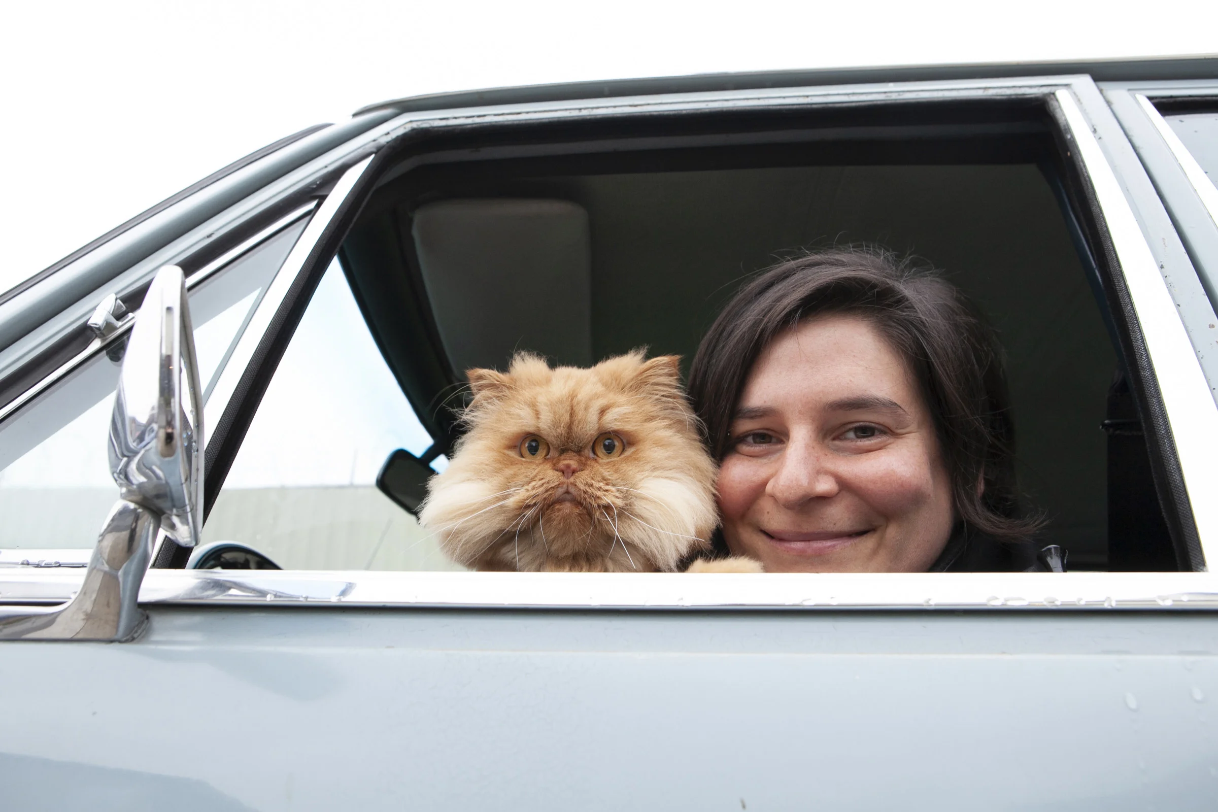 Queer Kitty Kitty by Lydia Daniller 05.jpg