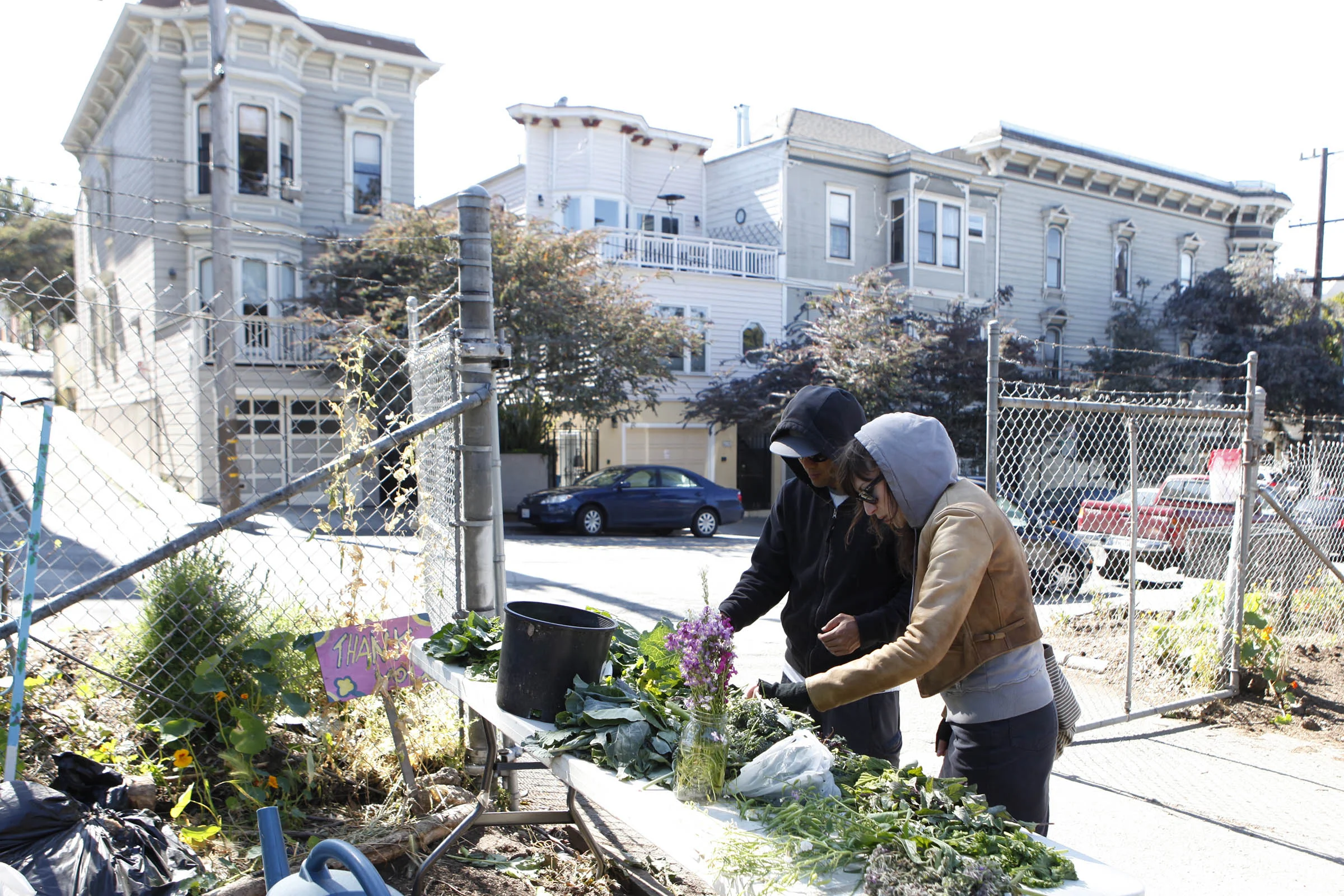 Hayes Valley Farm by Lydia Daniller 01.jpg
