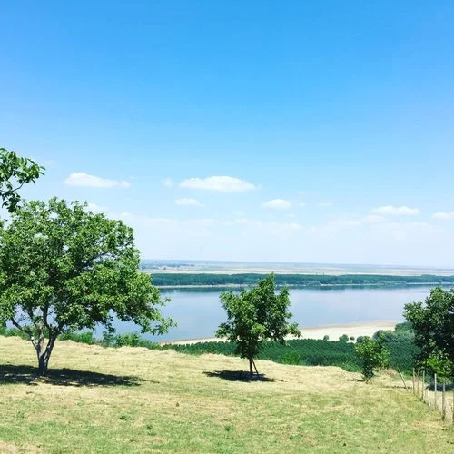 The sandy island Esperanto as seen from the vineyards