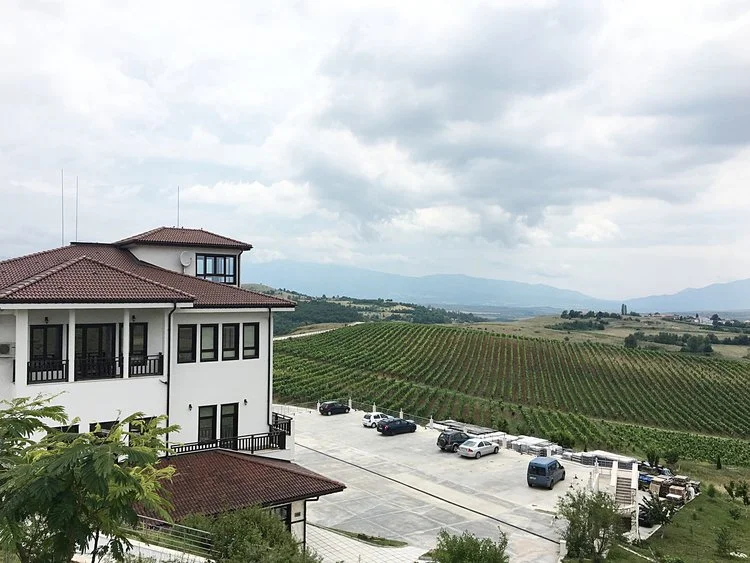Villa Melnik vineyards and winery