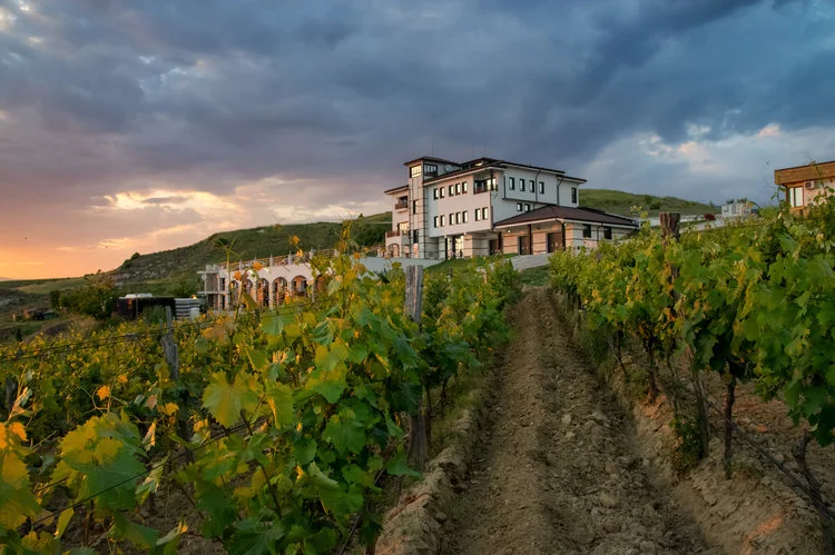 Villa Melnik, Photo: http://www.andrey-andreev.com/