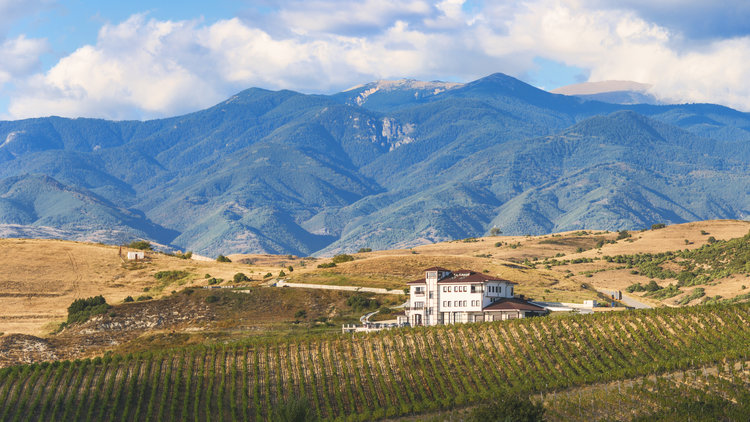 Villa Melnik, Photo: http://www.andrey-andreev.com/