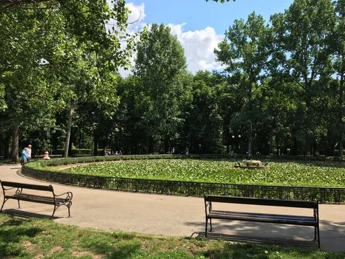 The Lily Pond in Boris' Garden