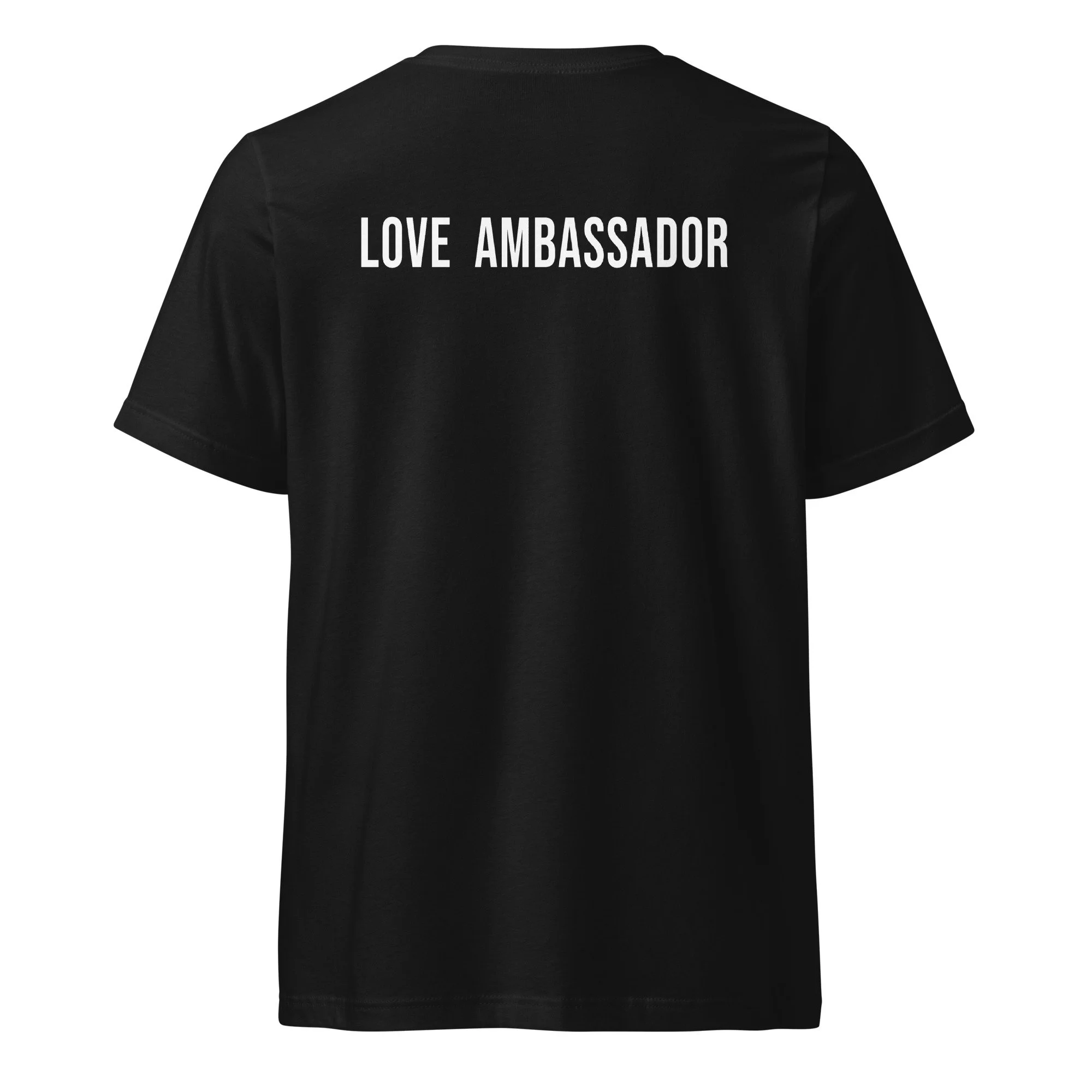 unisex-v-neck-tee-black-back-68aa2be081987.jpg