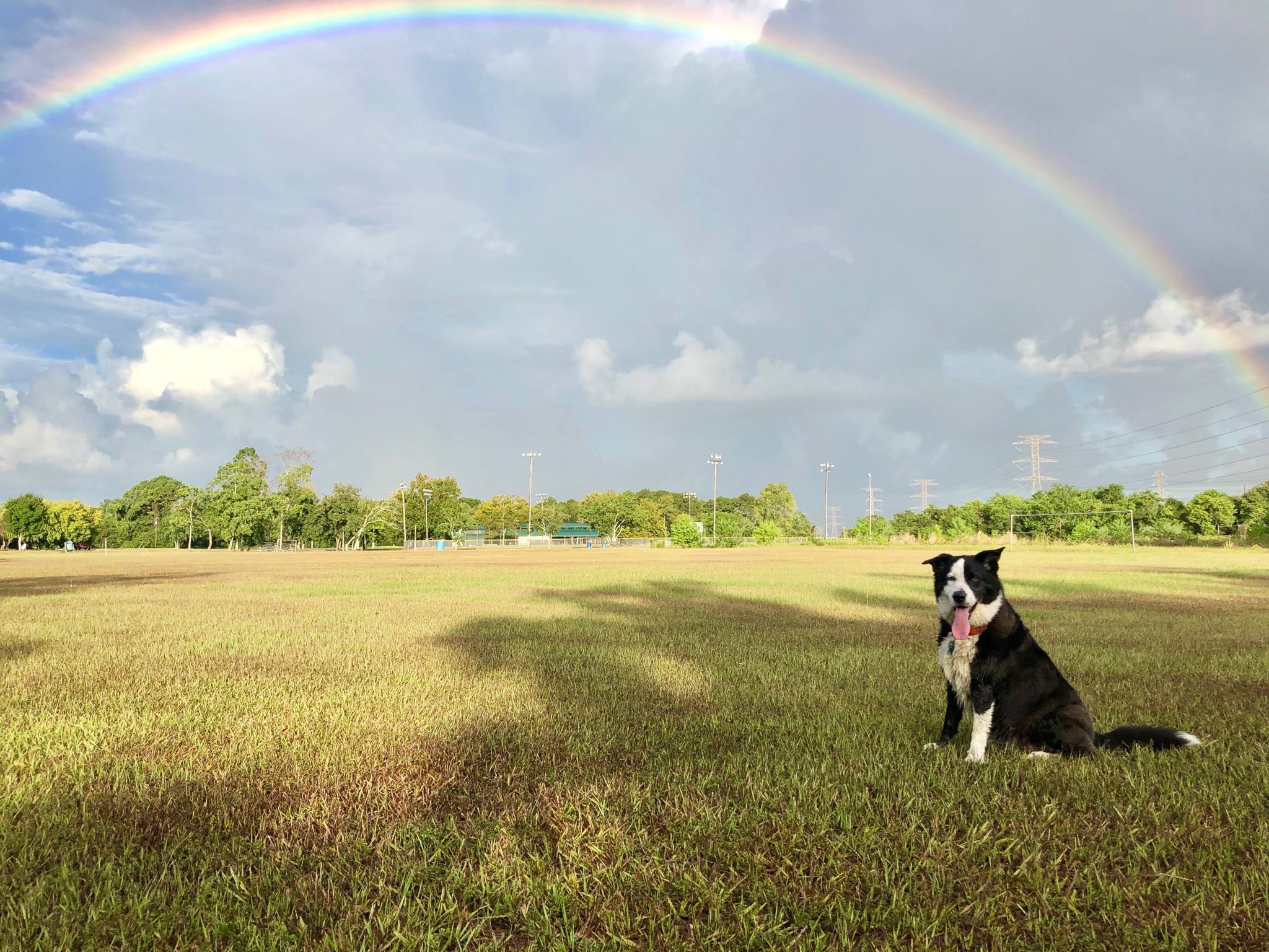 Rainbow_Field_Clint.jpg