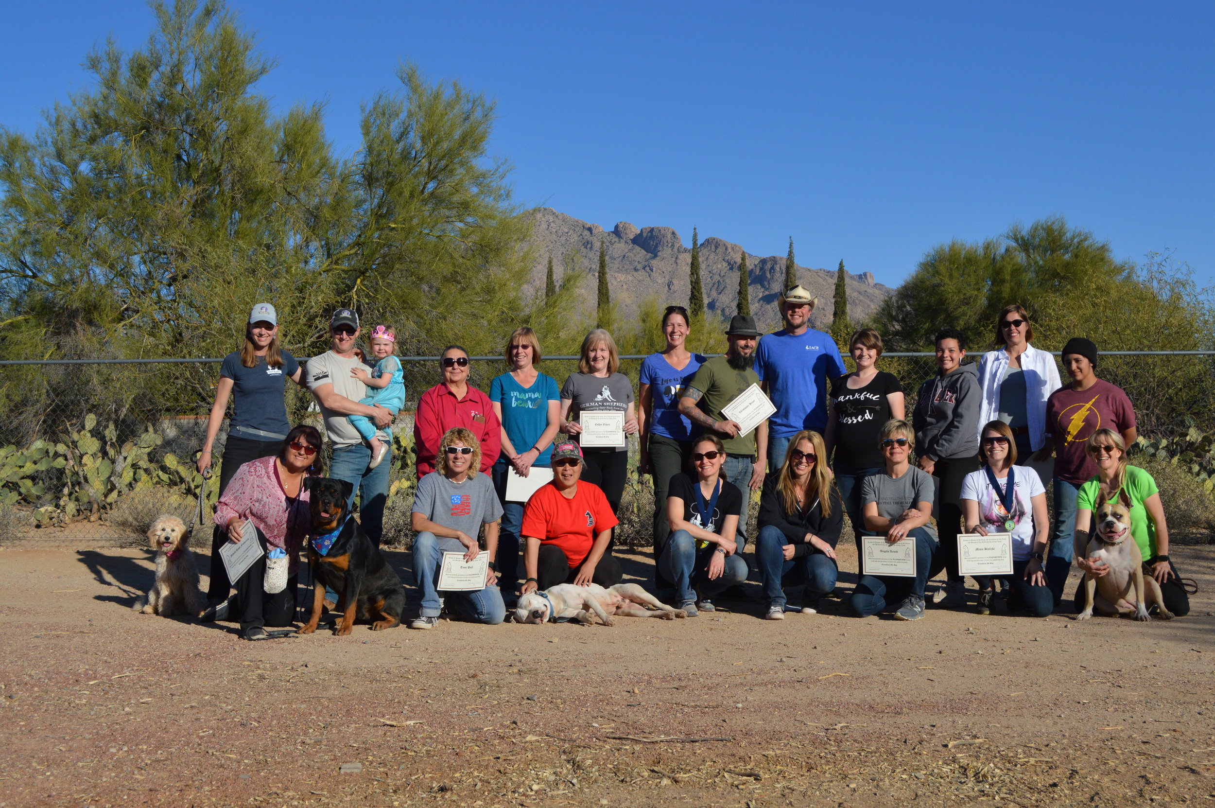 Arizona Large Field Dog Socialization Lifesaver Workshop