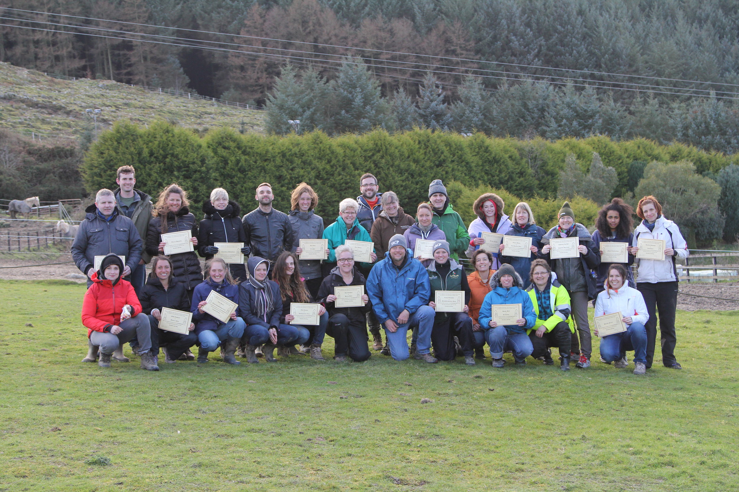 Ireland Large Field Dog Socialization Lifesaver Workshop