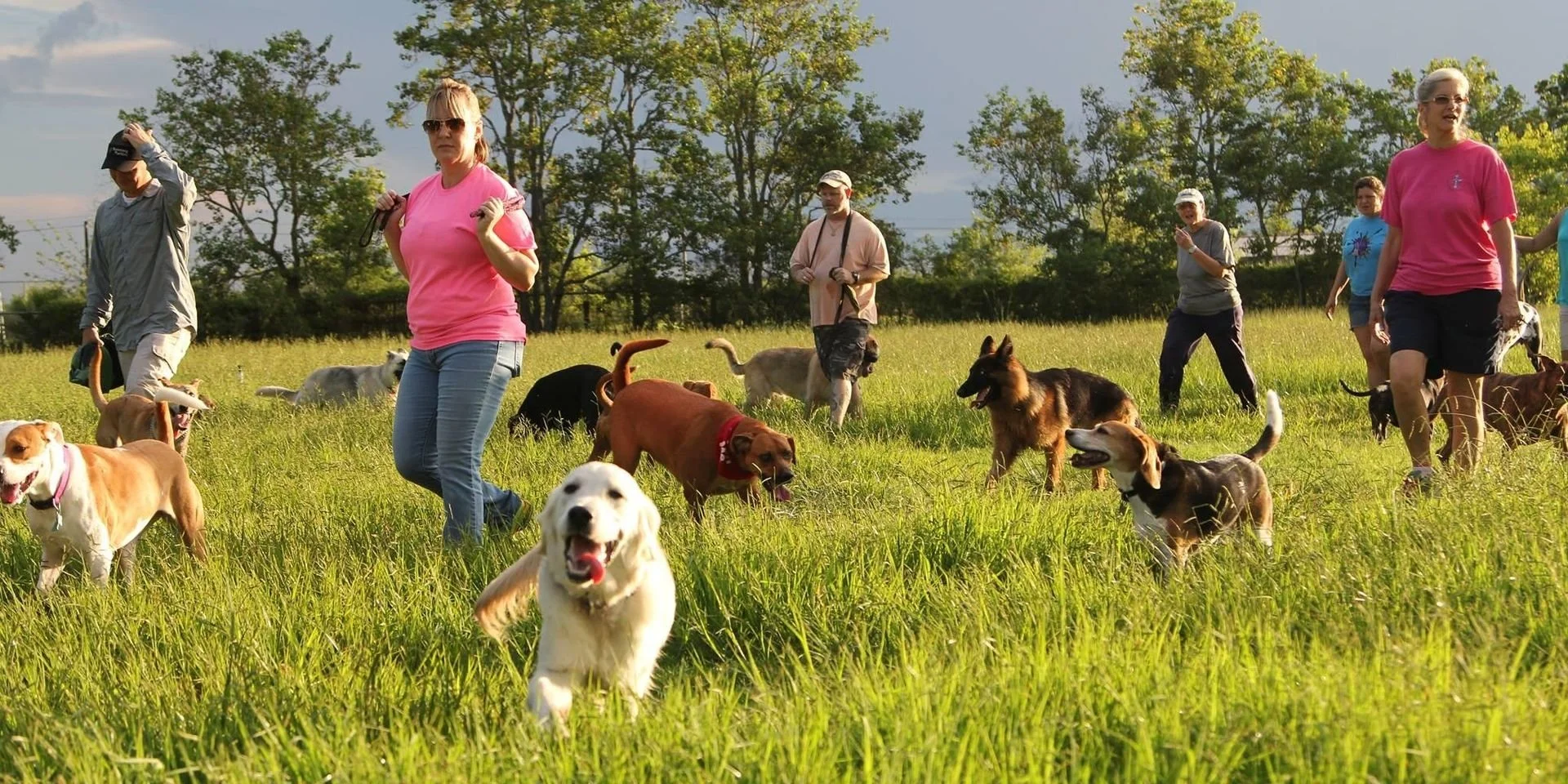 Events — Transform My Dog