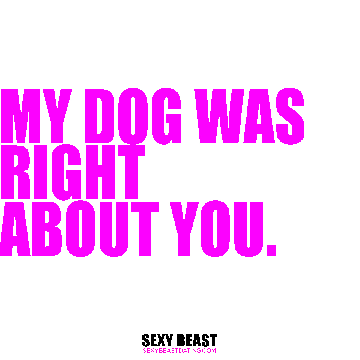 MY DOG WAS RIGHT ABOUT YOU.jpg