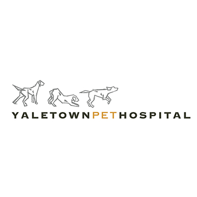 Yaletown Pet Hospital.jpg