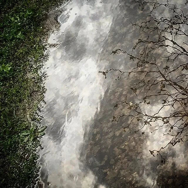 #reflectiongram #skyscape #shootoniphone #iphonepic #justgoshoot #puddlegram