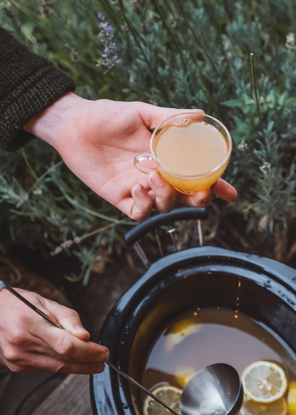 Fresh apple cider + spirit + spices (can’t wait!)