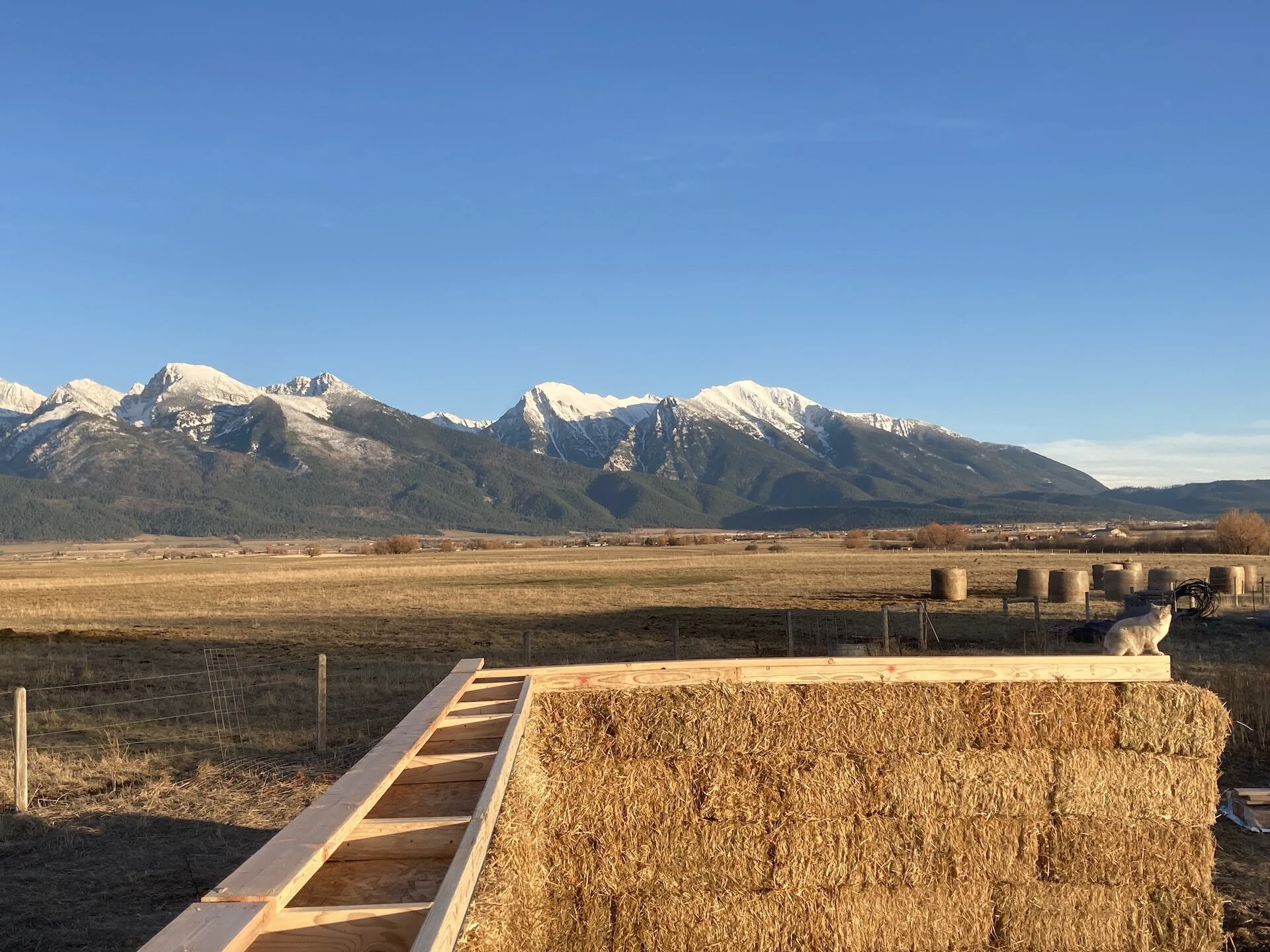  Once the bales were up, the pre-assembled  ‘top-cap’ was put on the walls.  These were OSB framed with 2X4’s.  These served to compress the walls against the foundation.   