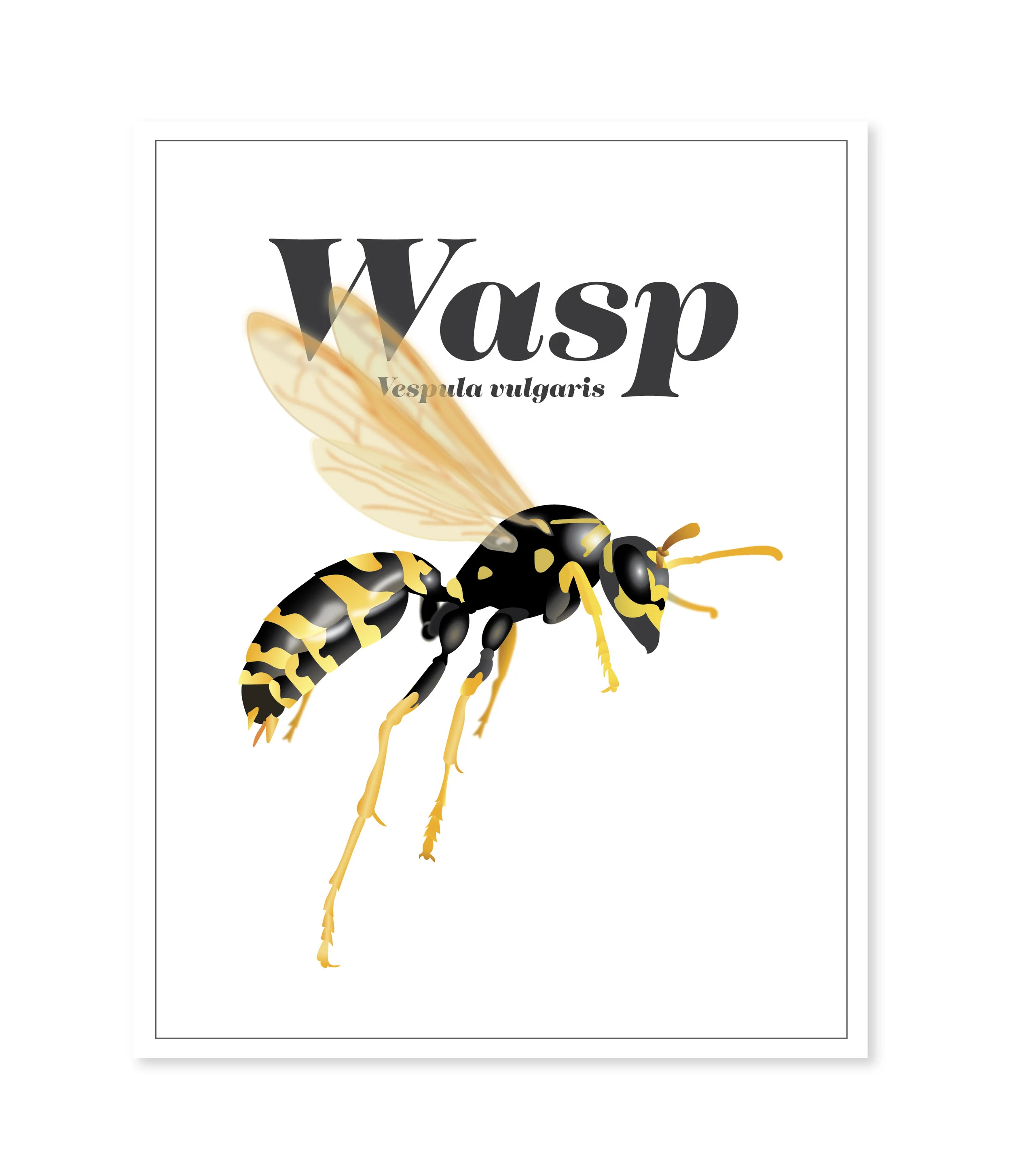wasp illo-01.jpg
