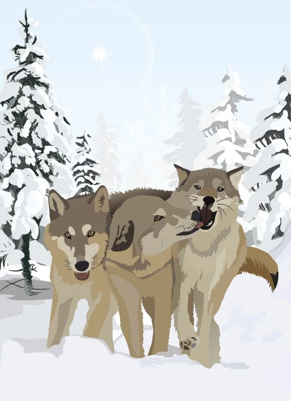 3 wolves.jpg