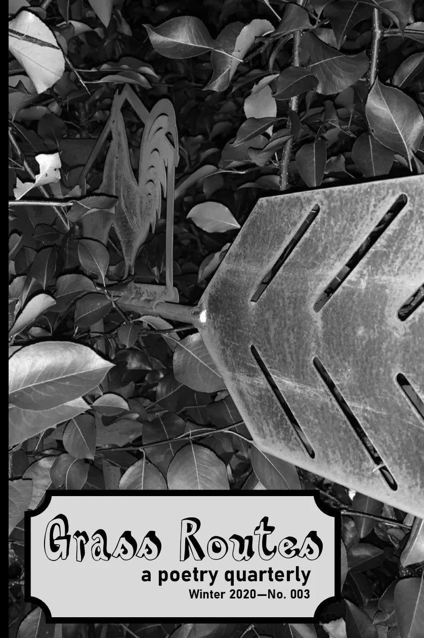 GR #3 cover.jpg