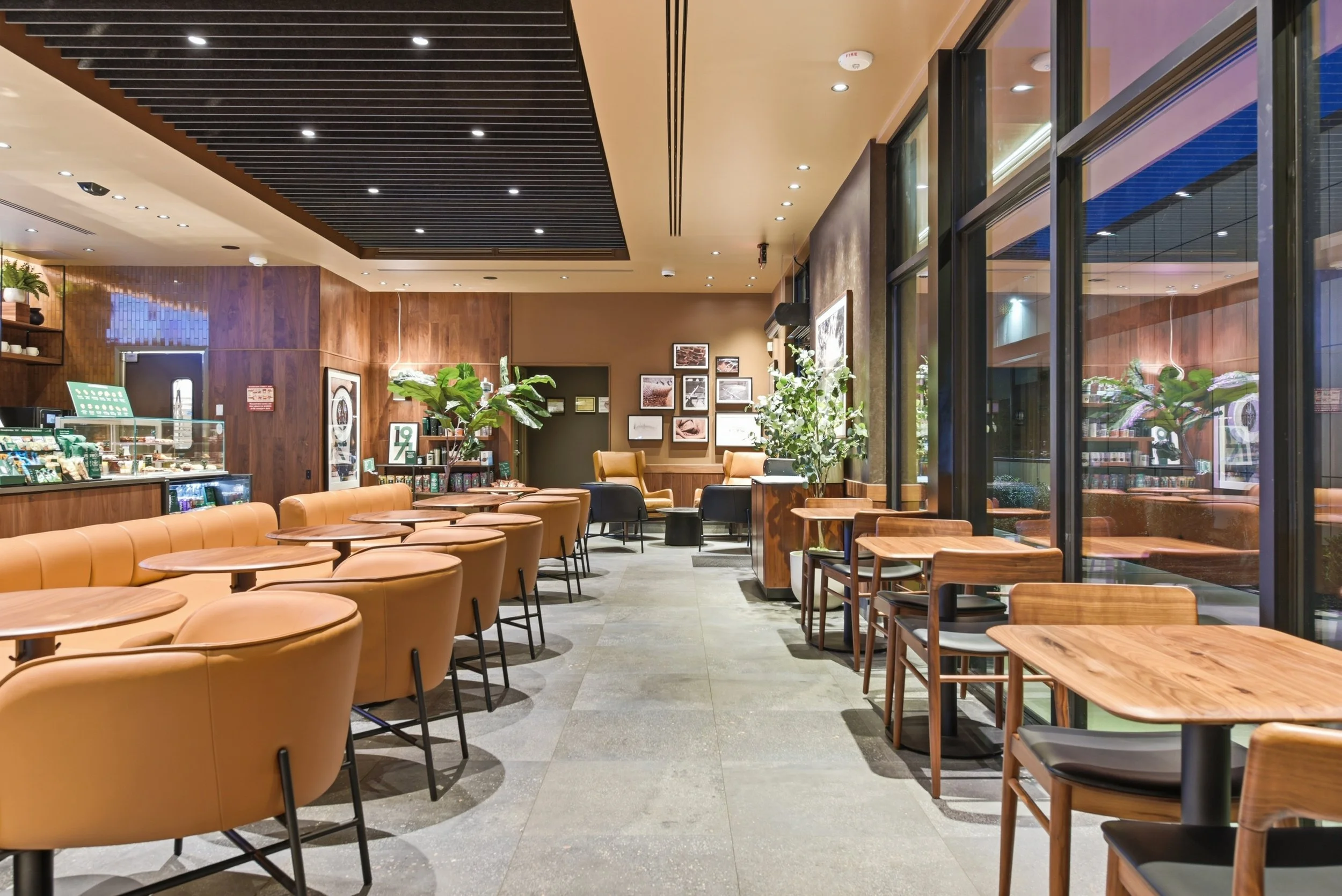 Starbucks_003.jpg