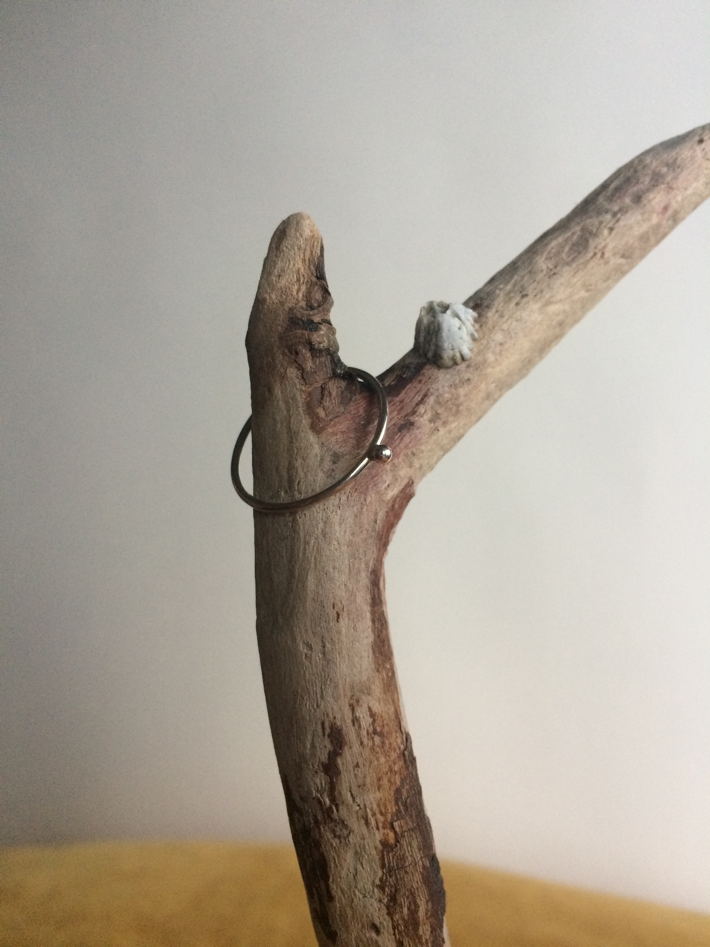 C2A3C768-94BA-4893-84AD-9BB0CE05A0B1