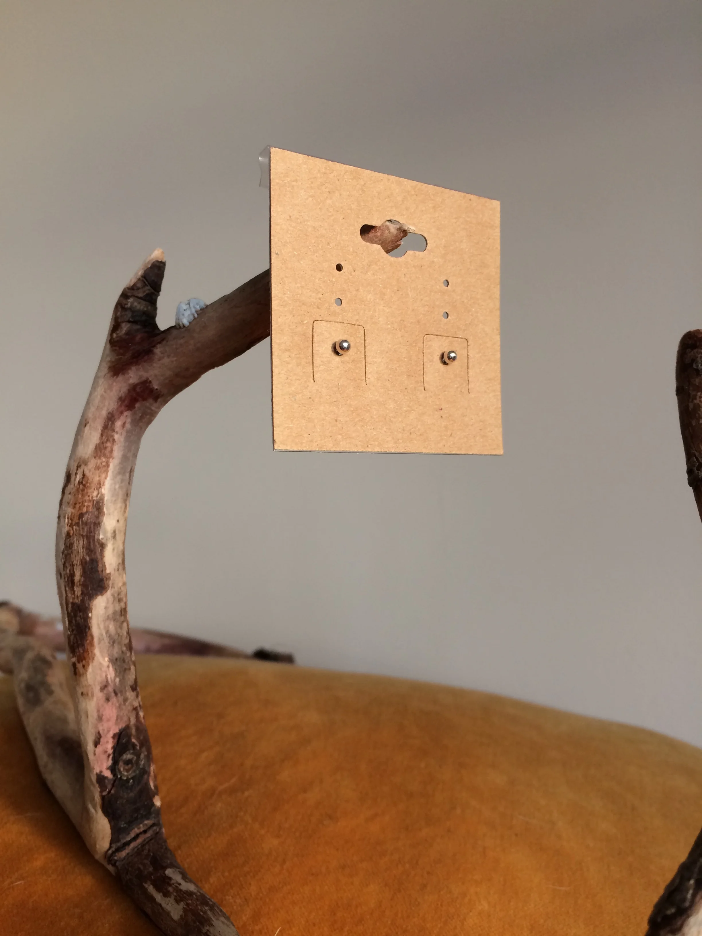 FDA6A64E-CA77-4EC3-A339-897754DE4F96