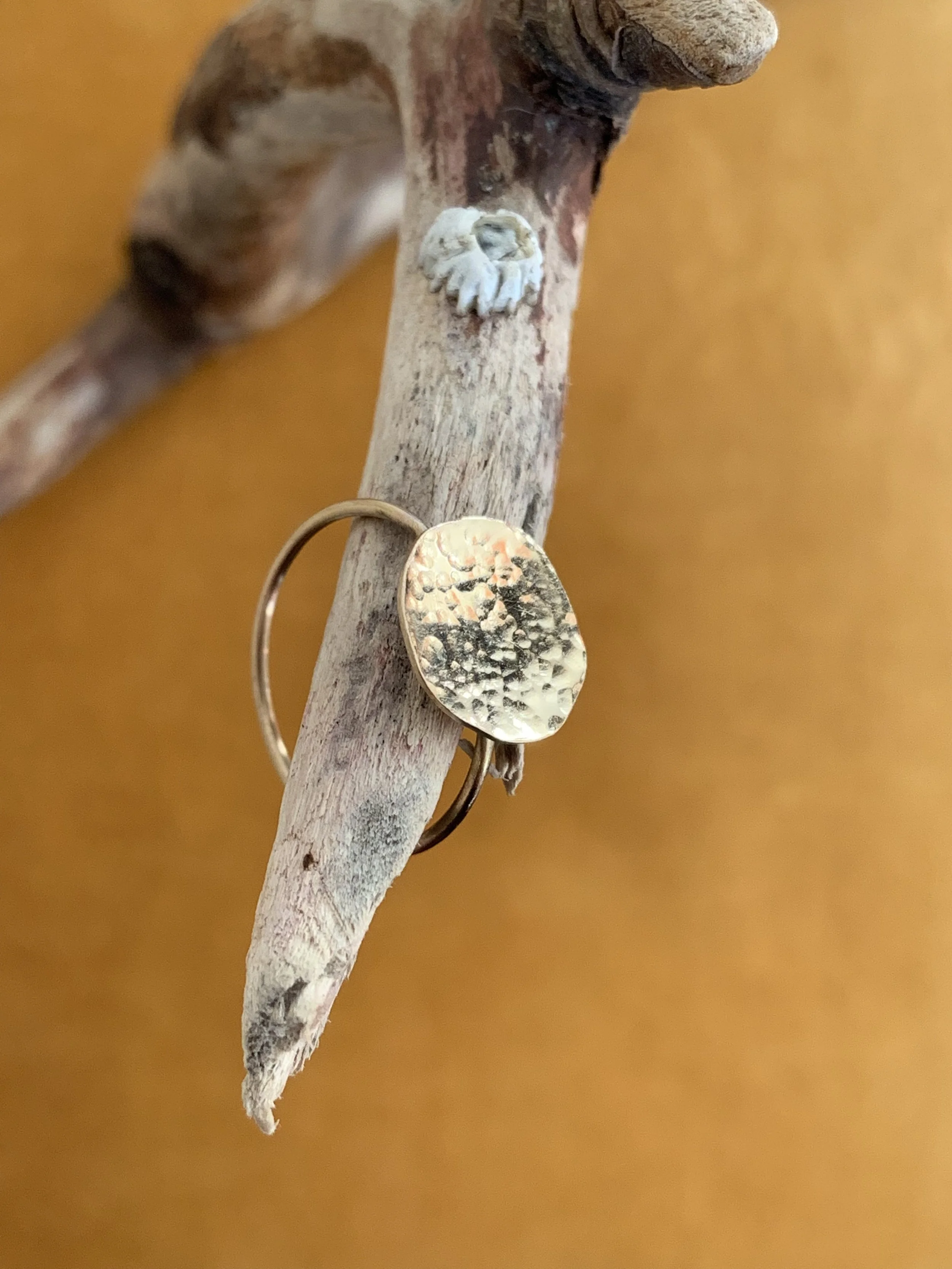 811602EC-90C1-42F5-89C9-3DB637360279