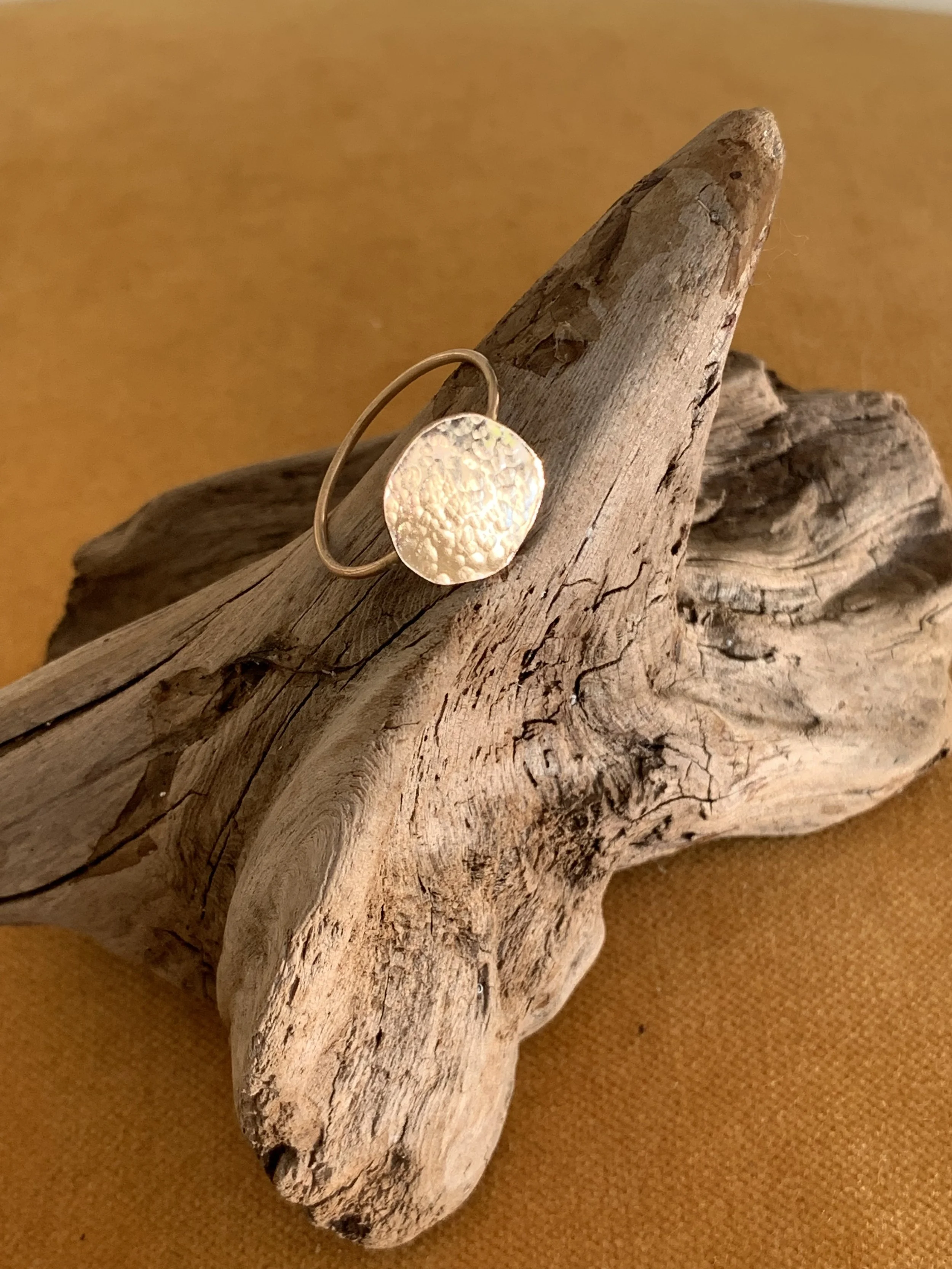 A15CA7F5-1C74-43A8-AA22-D9B1172A8A74