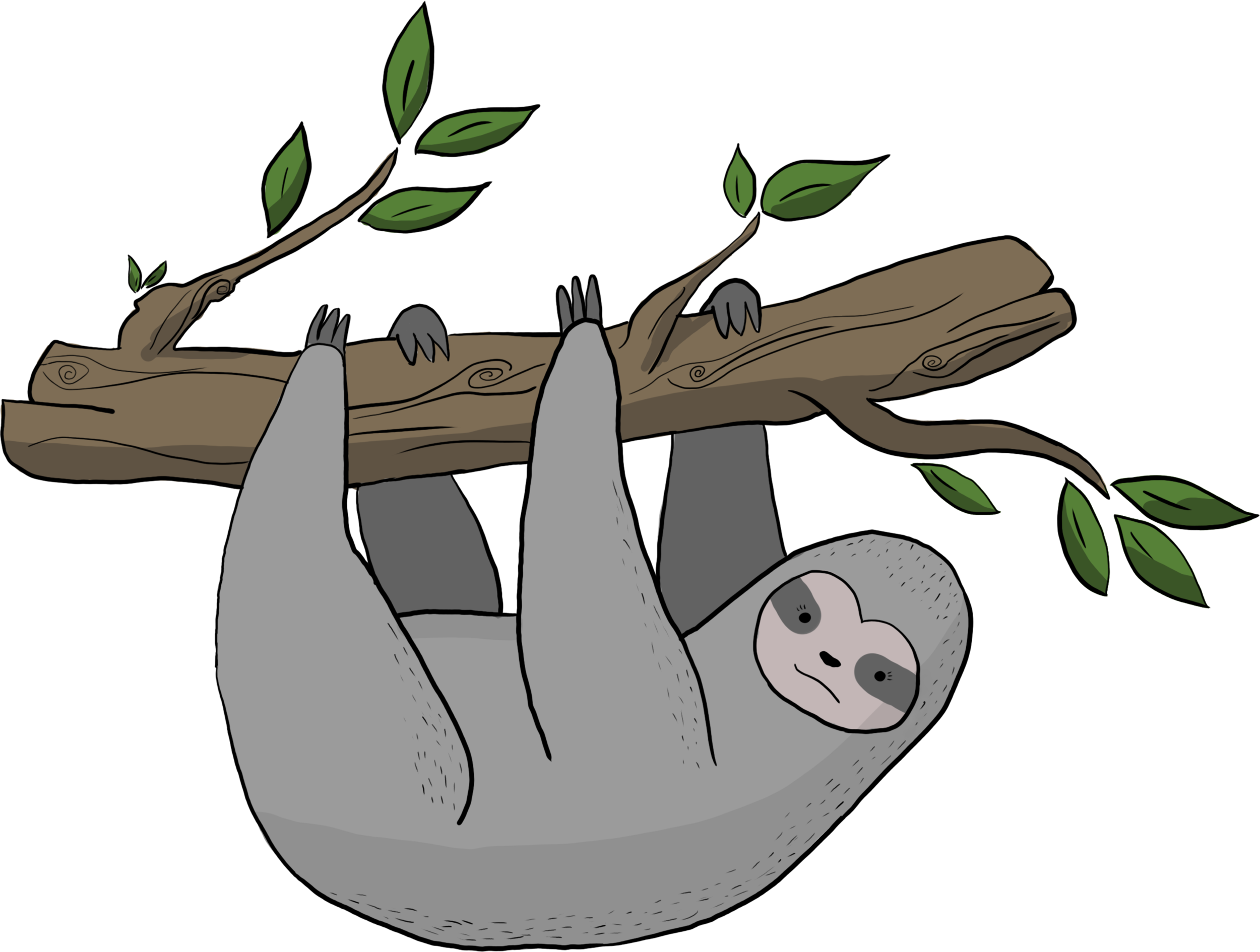 Sloth only.png
