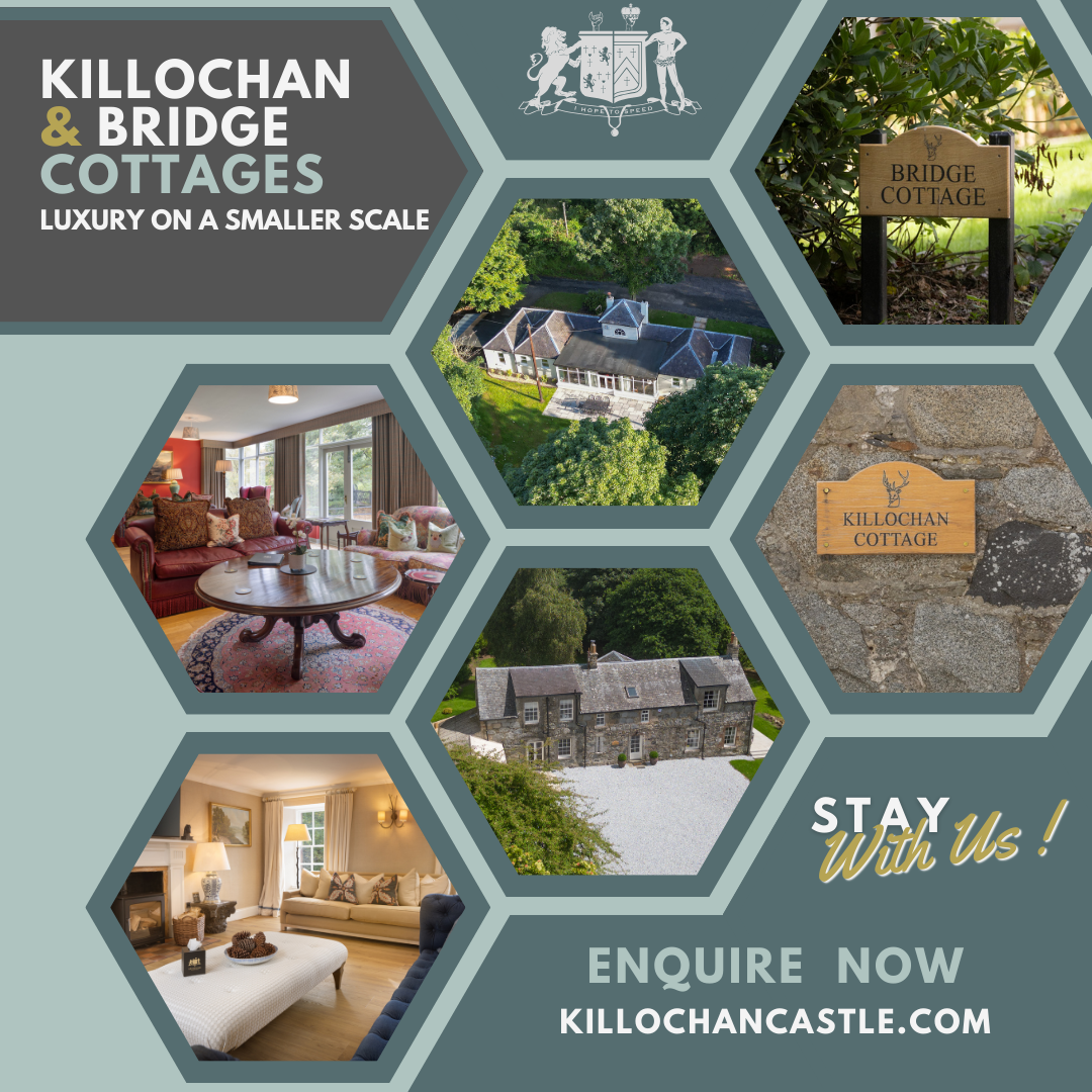Bridge Cottage & Killochan Cottage Digital Marketing advert for Killochan Castle