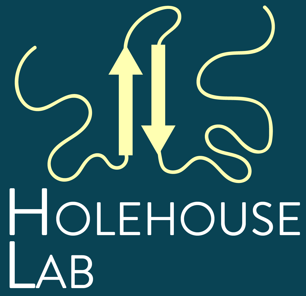 Holehouse Lab